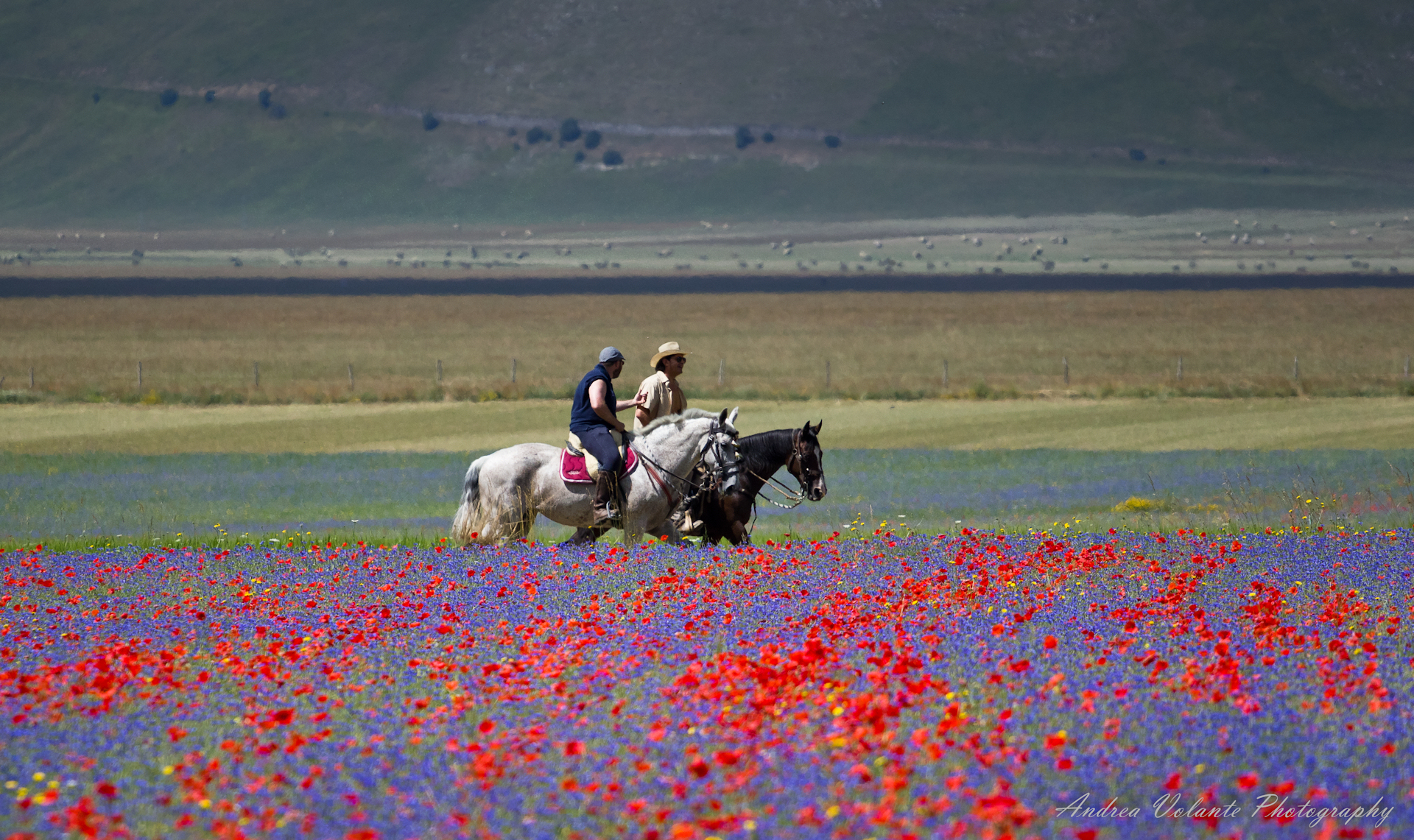 ...walking in the flowers.