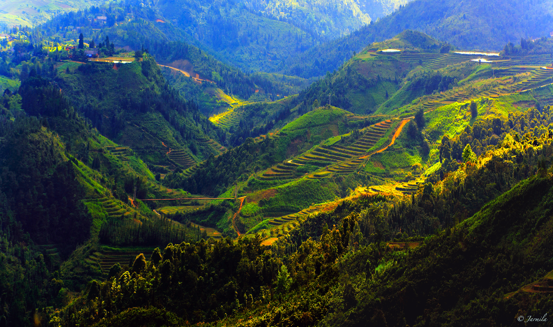 The charming of Sapa rice terraces