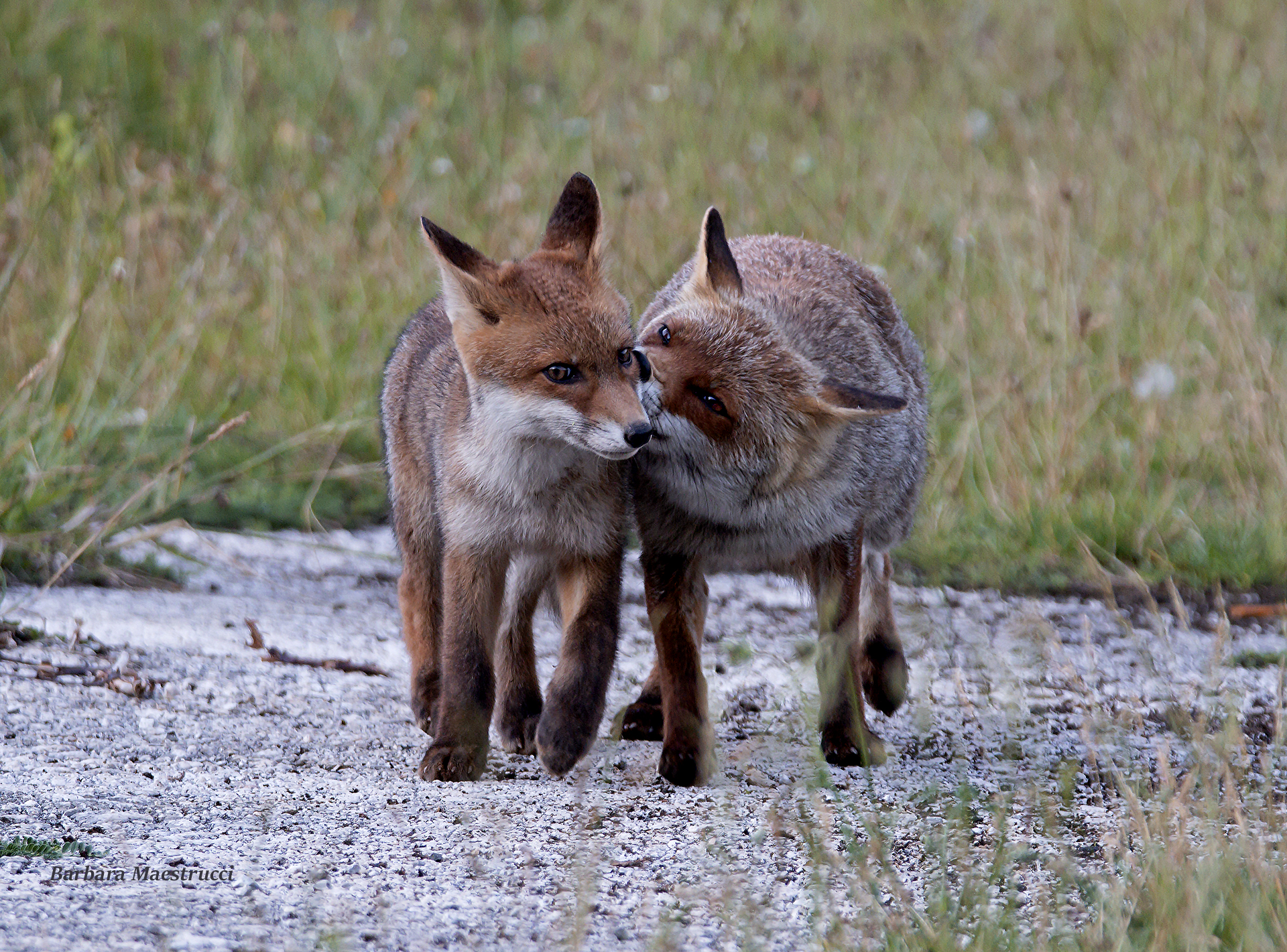 The purest love ..a mother and her little