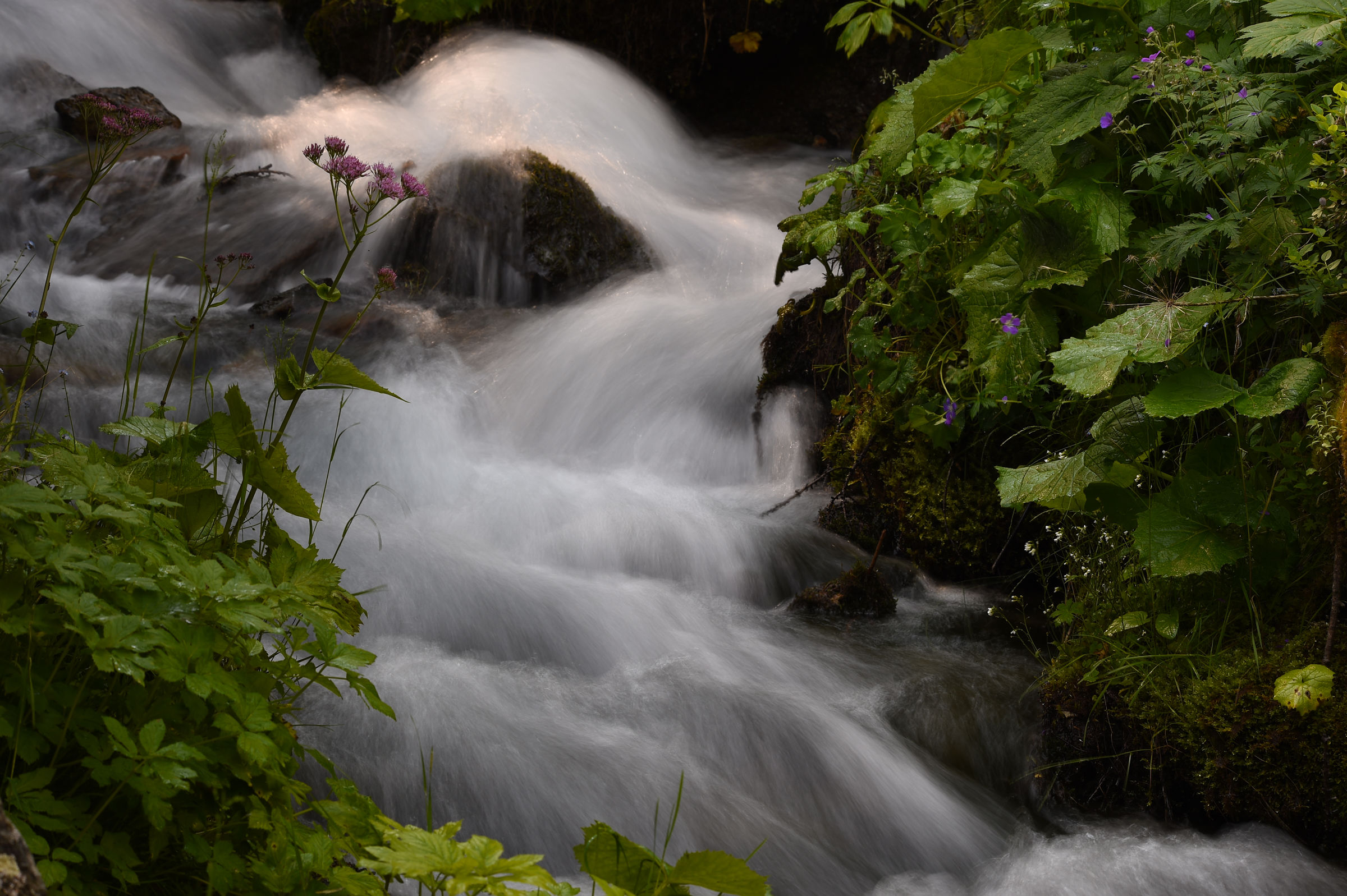 Park along the water