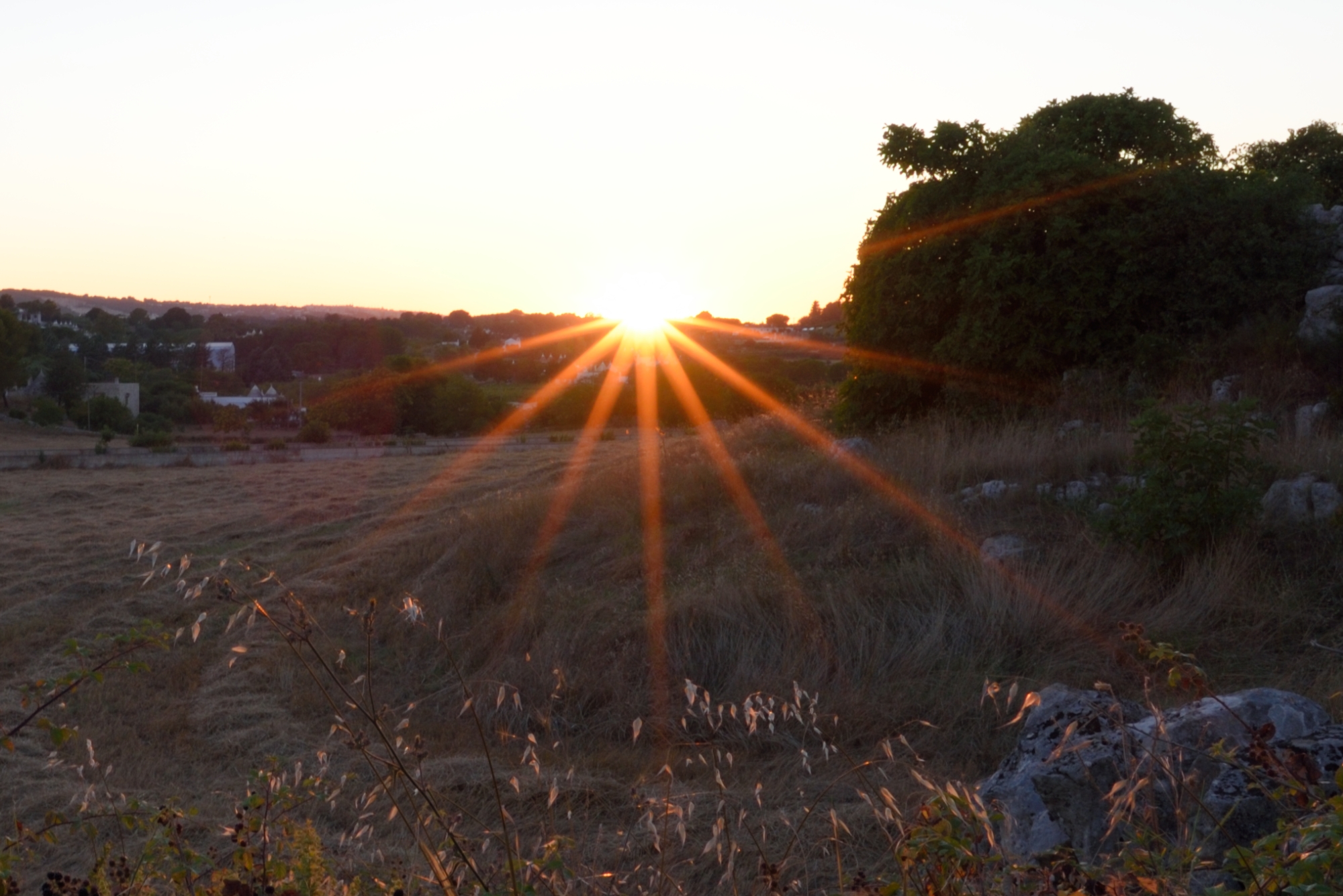 The rays of the Sun July