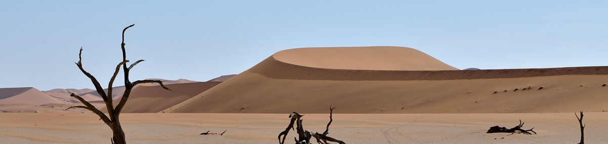 Dead Vlei, Namibia