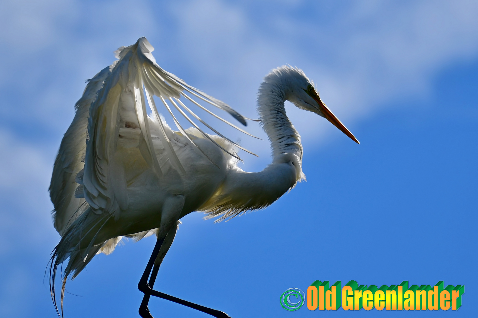 Un po 'di retroilluminazione
