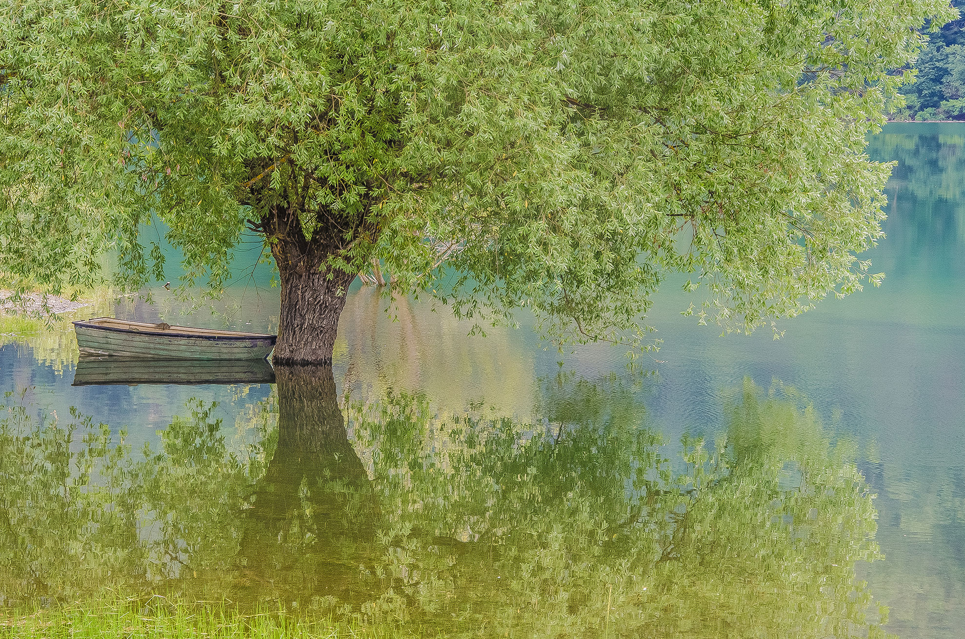 Alla bellezza dei margini