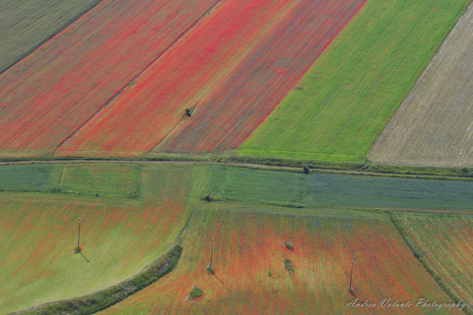 Pian Grande ..astratto naturale.