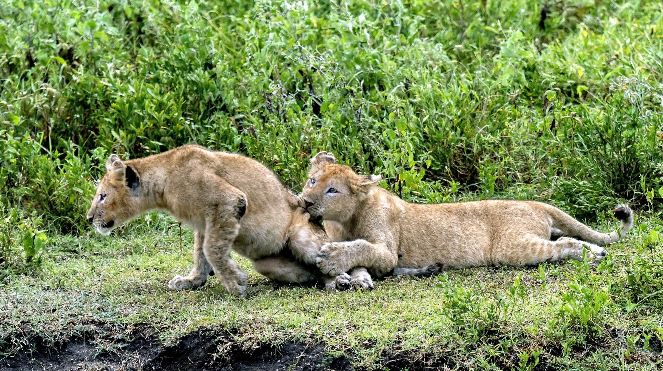 Tanzania 2016 - Giochi