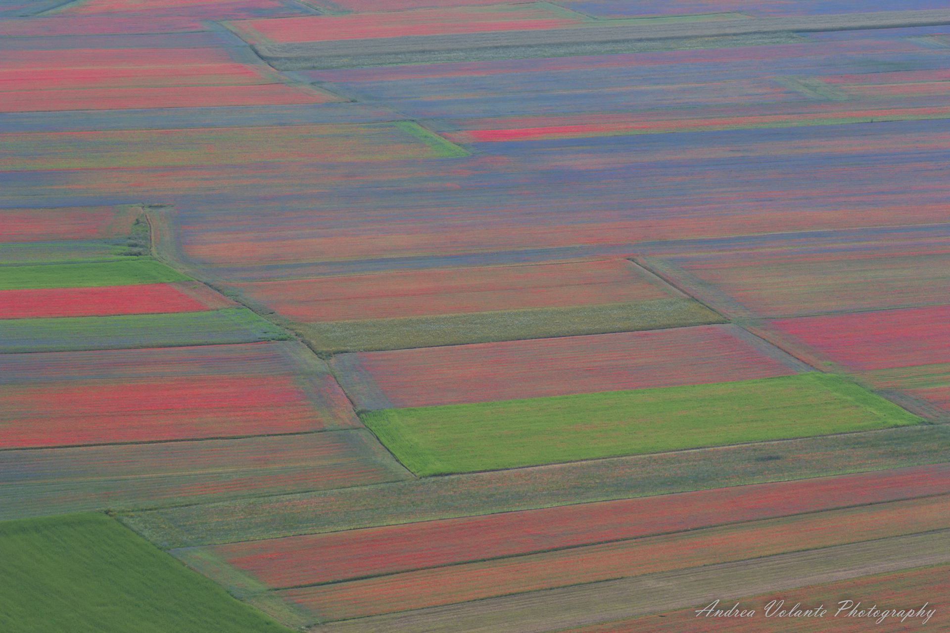 Cromoterapia naturale....