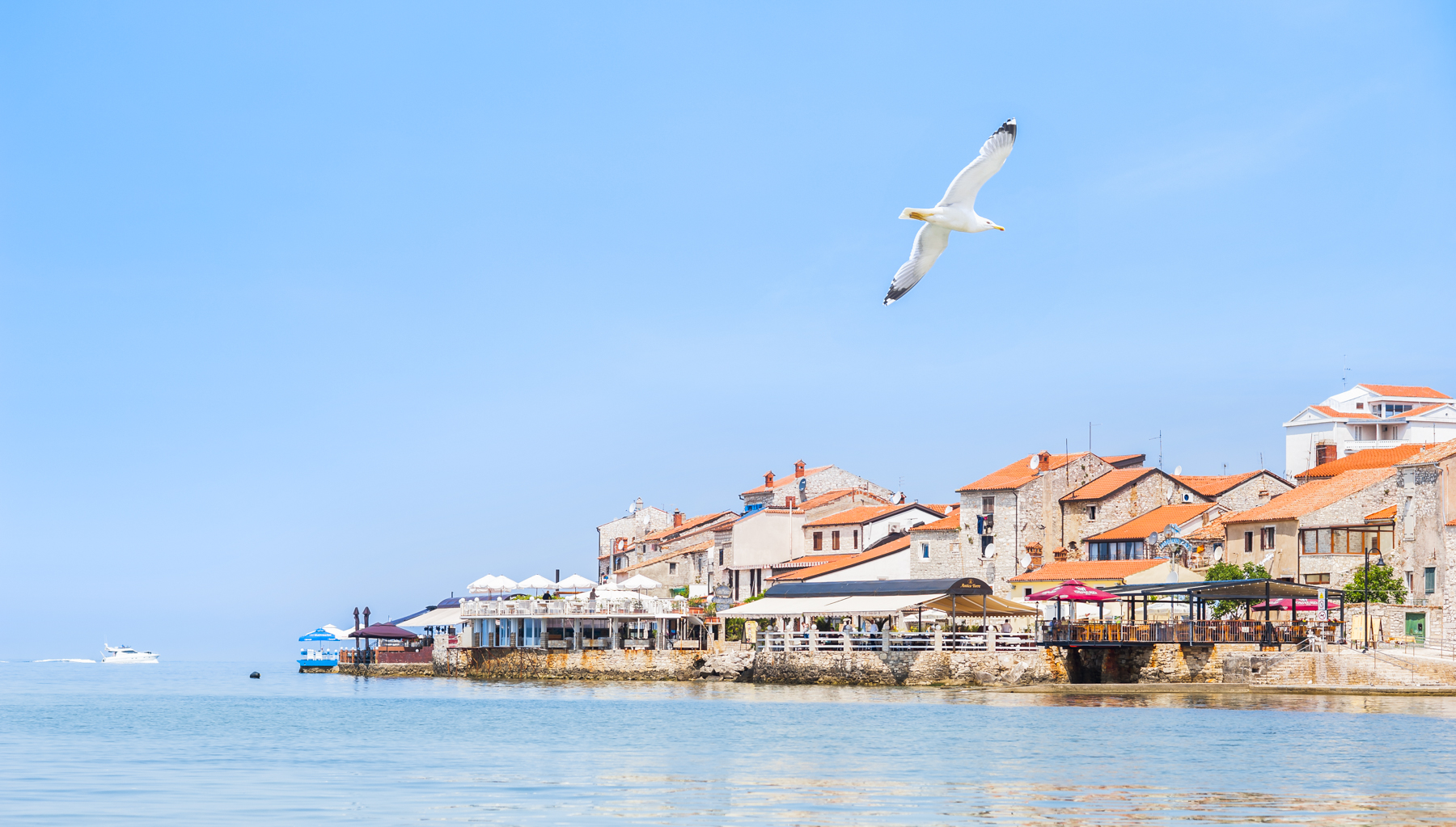 Scattando dallo sdraio