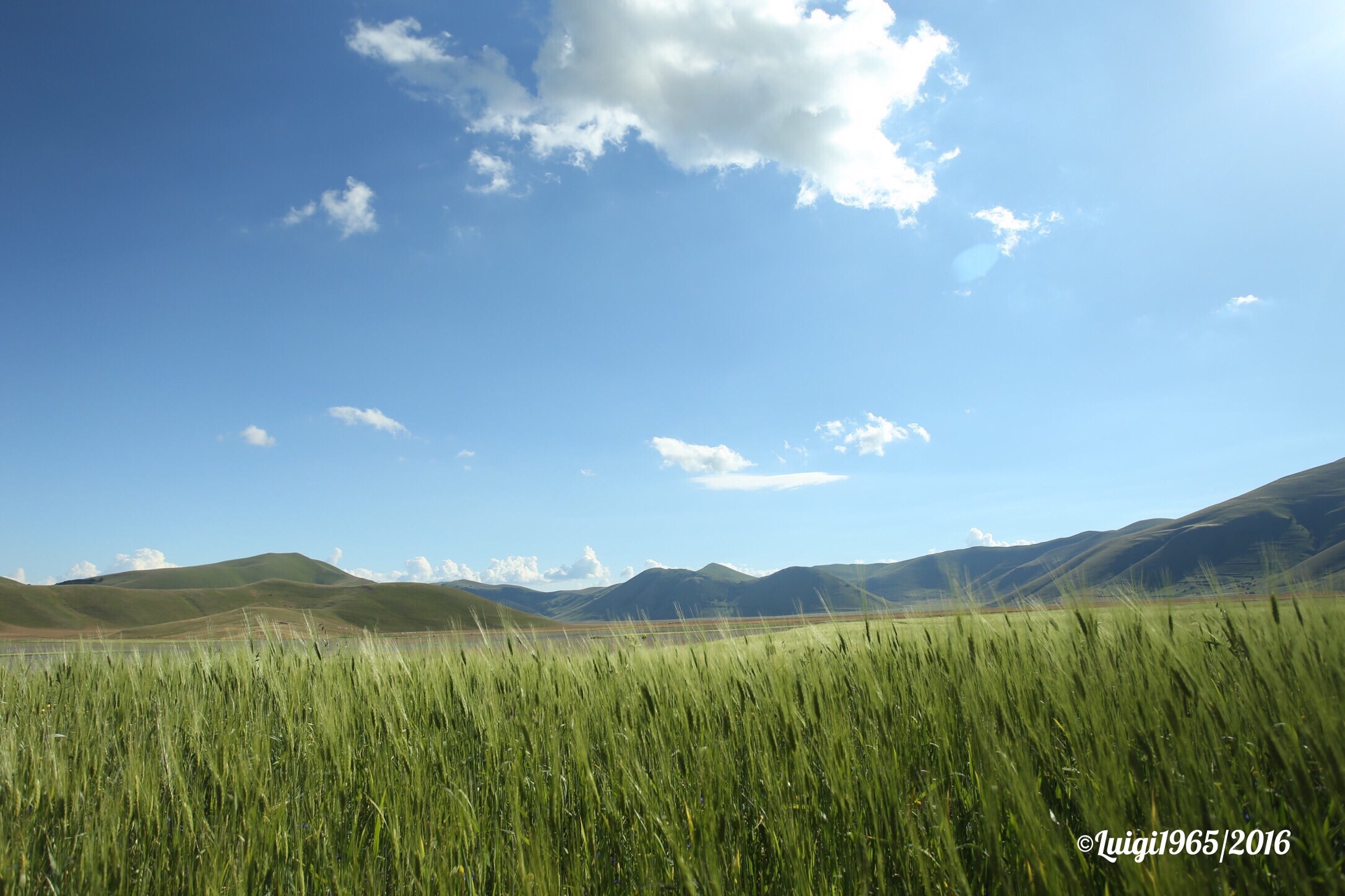 The wind that bends the ears.