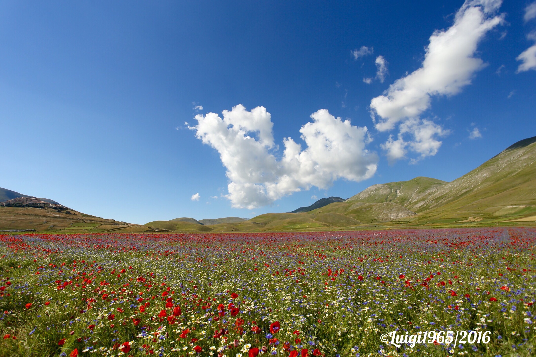 At the bottom there Castelluccio.