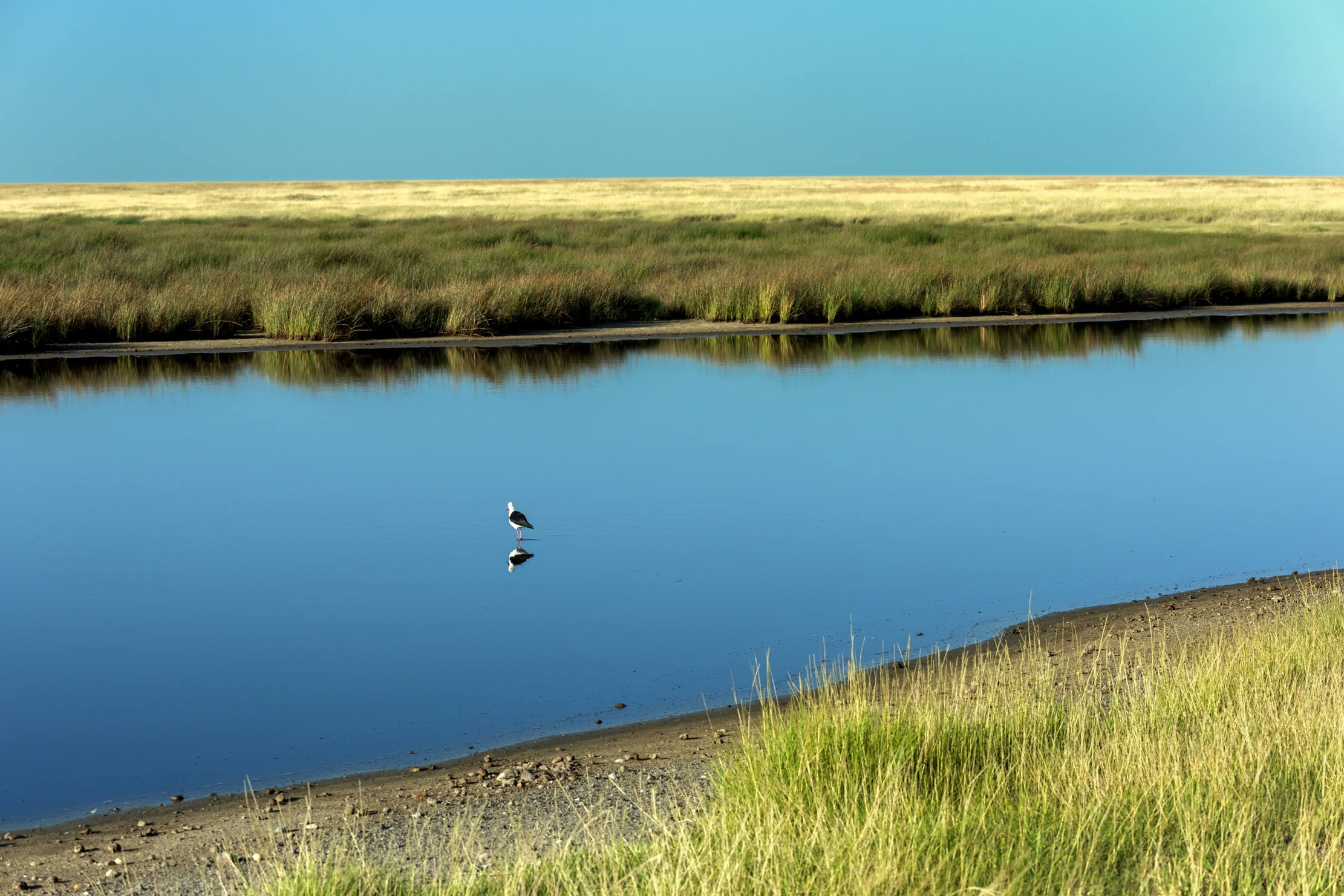 Tanzania 2016 - Serengeti