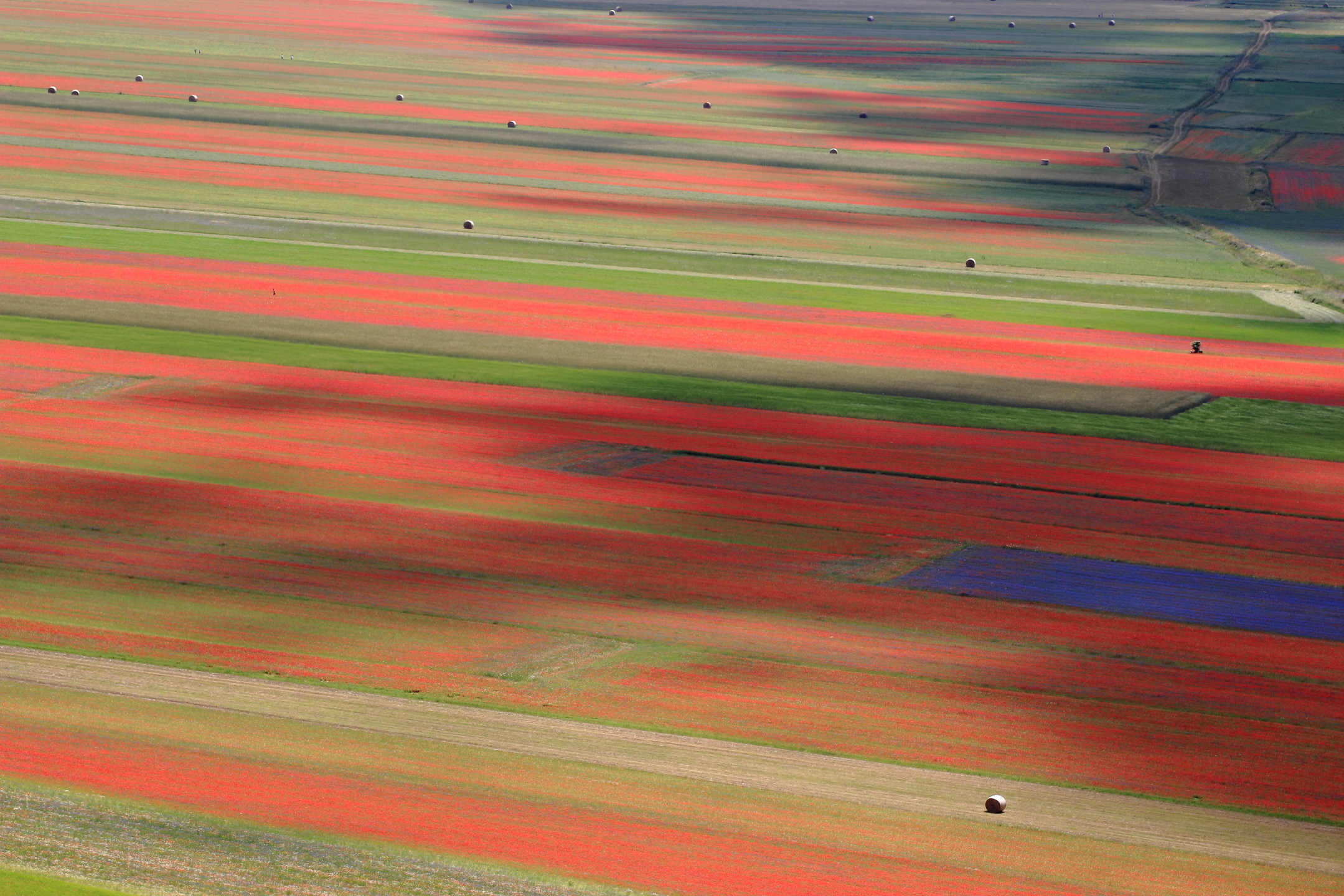 magazine hay bales ..