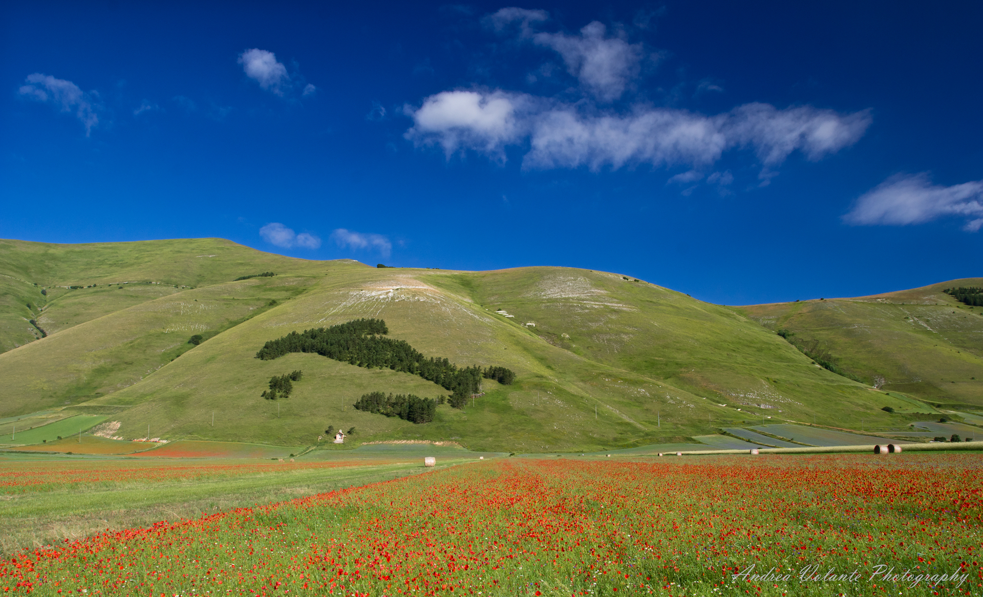 L'Italia ..di fiori s'è cinta!