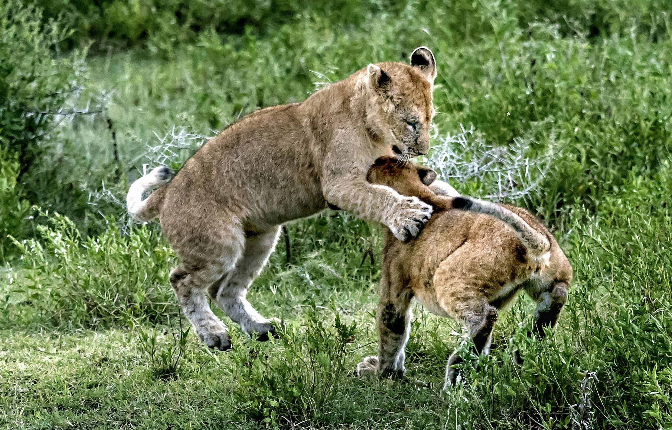 Tanzania 2016 - Giochi