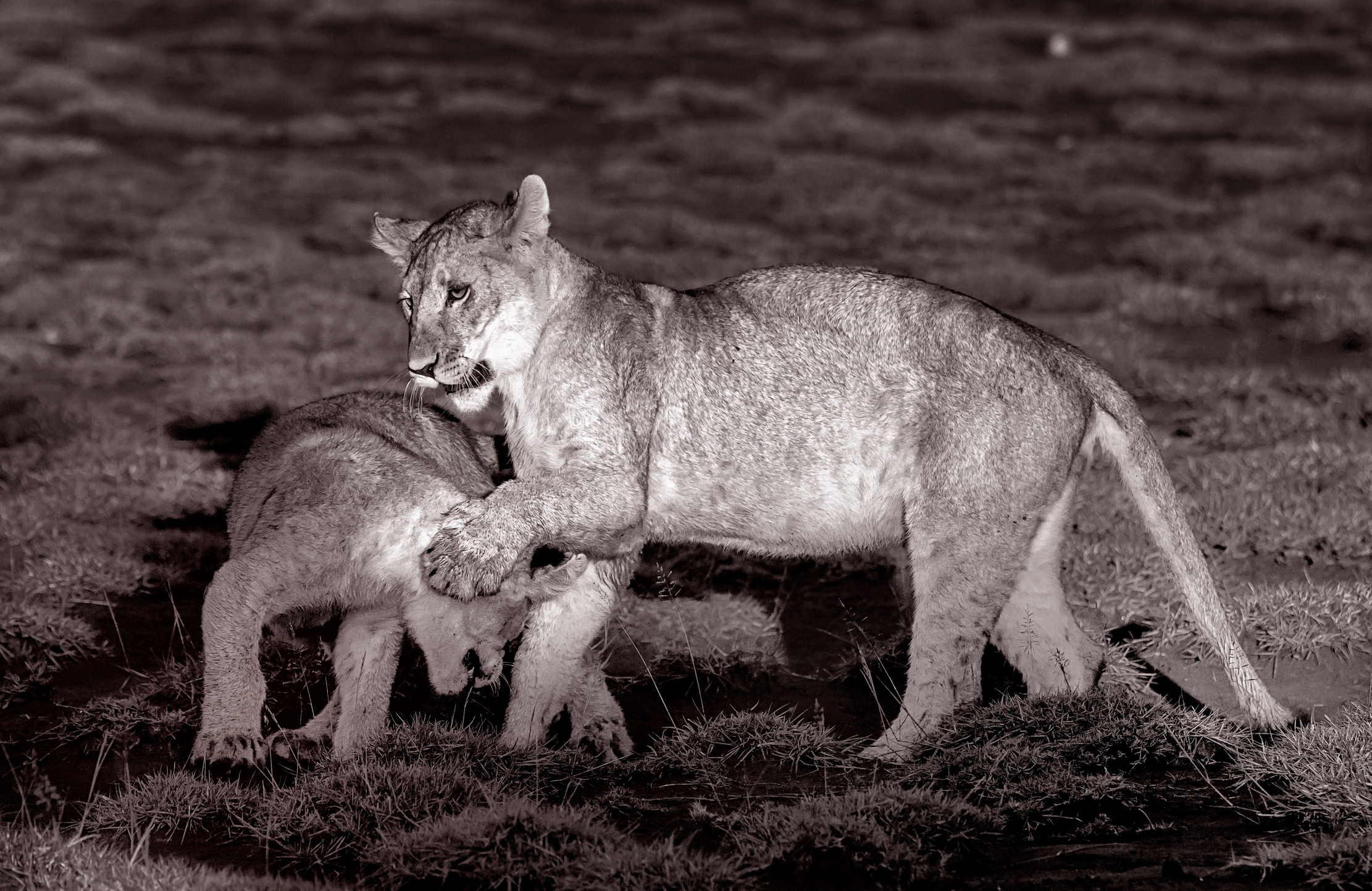 Tanzania 2016 - Giochi B&W