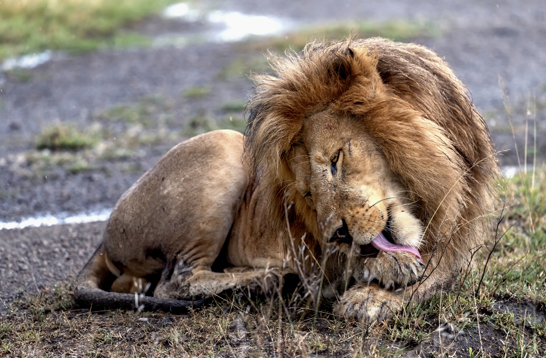 Tanzania 2016 - Pulizie