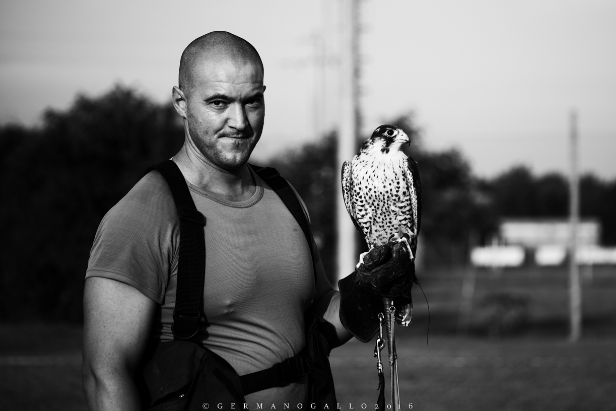 Il falconiere