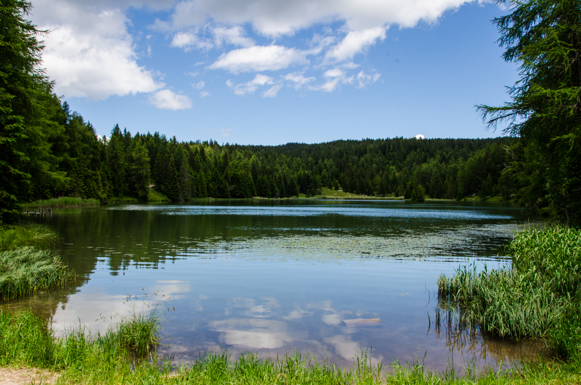 Small lake in the mountains
