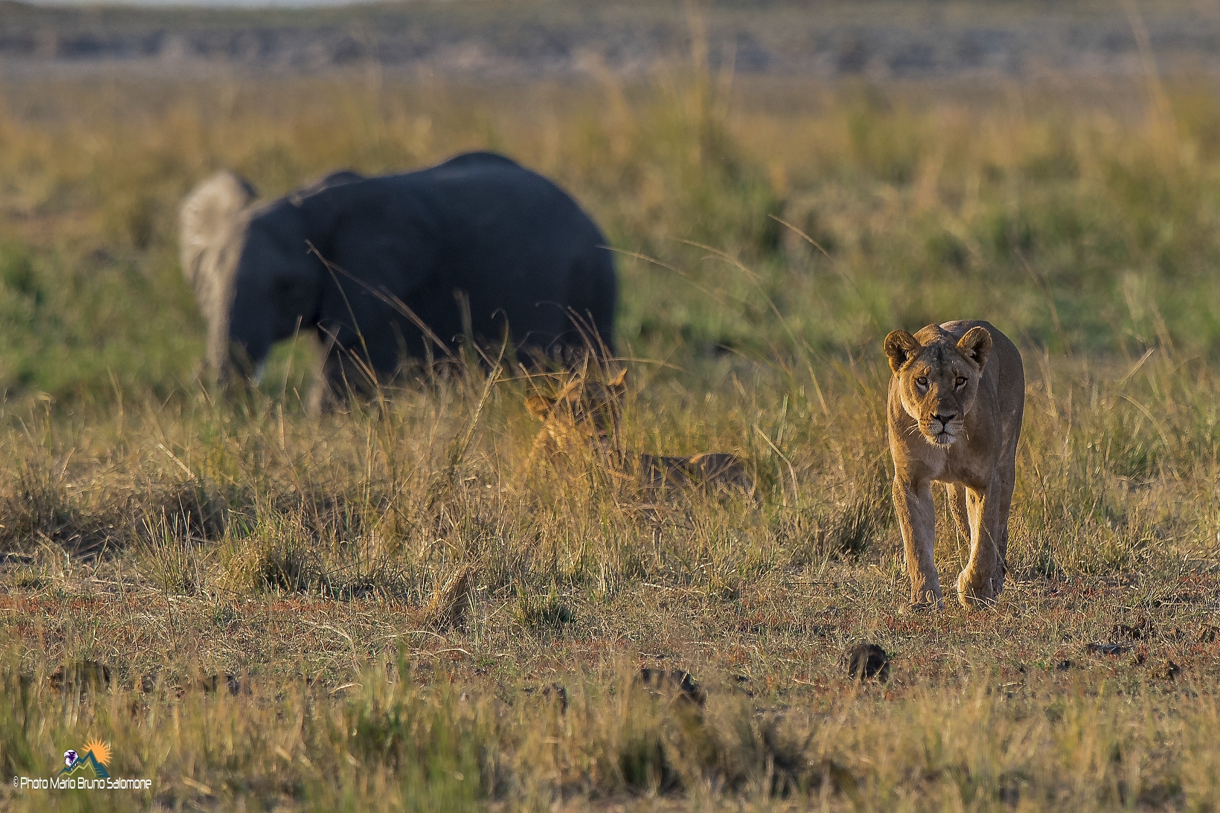 The sun goes down on the Chobe River