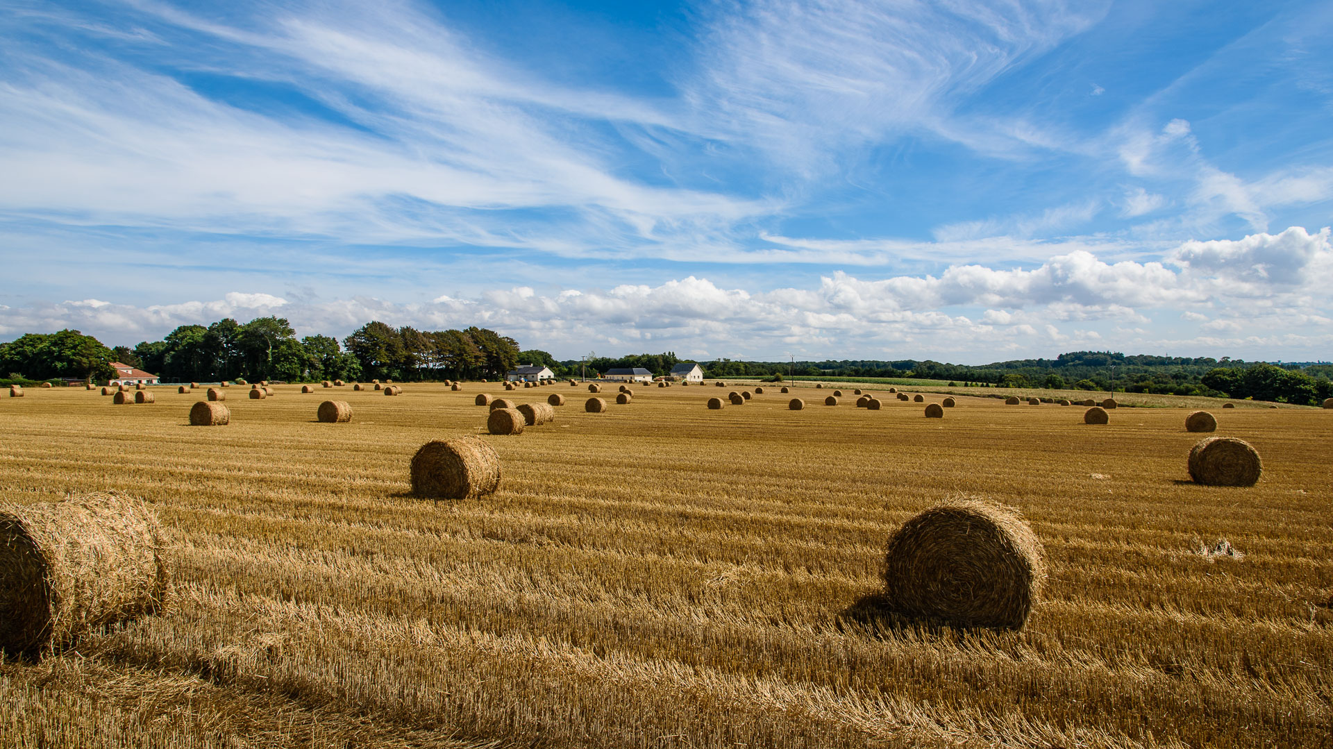 Fields of Normandie