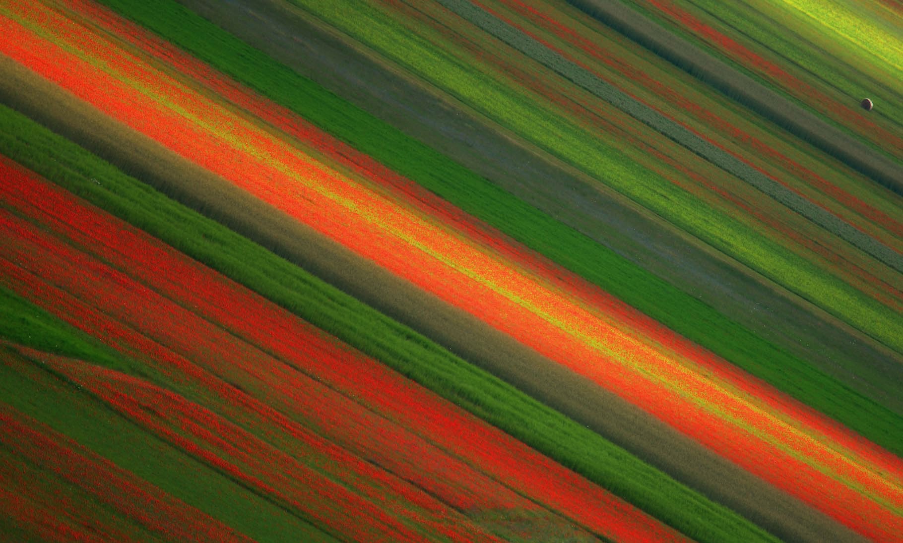 Colours and minimalism