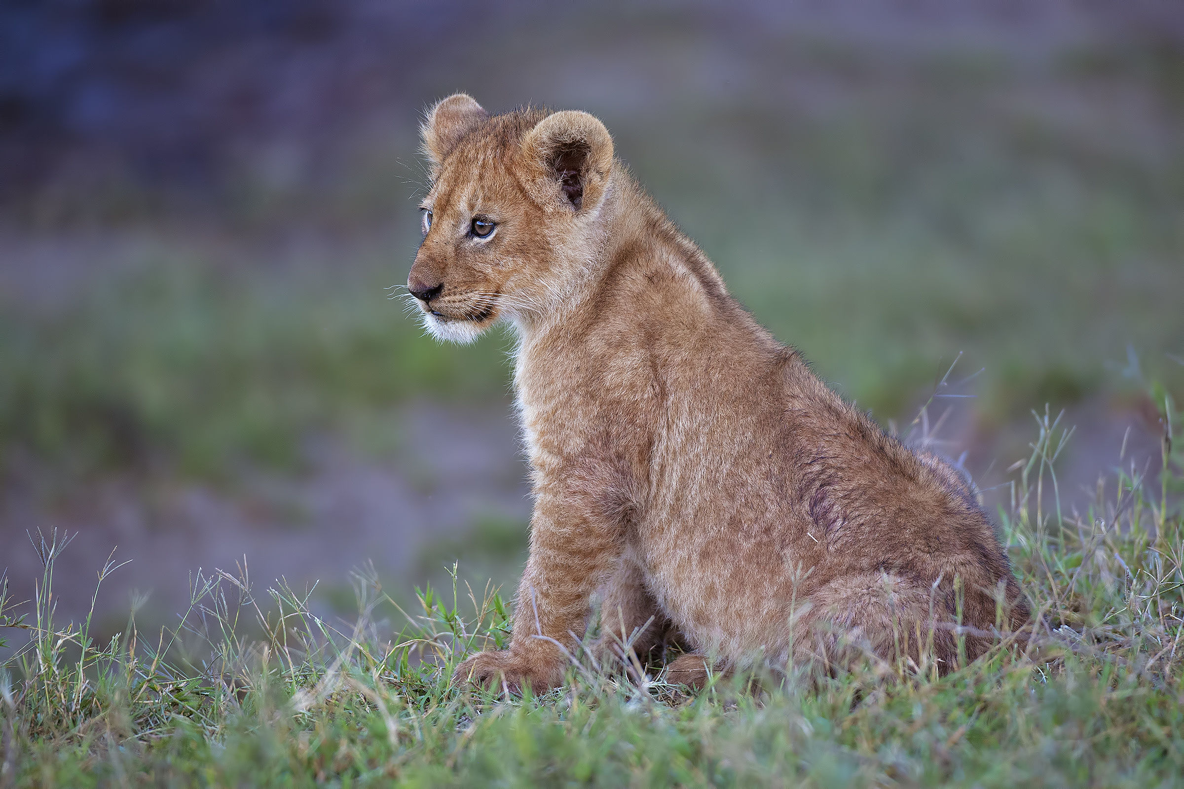 Verso il giorno in arrivo