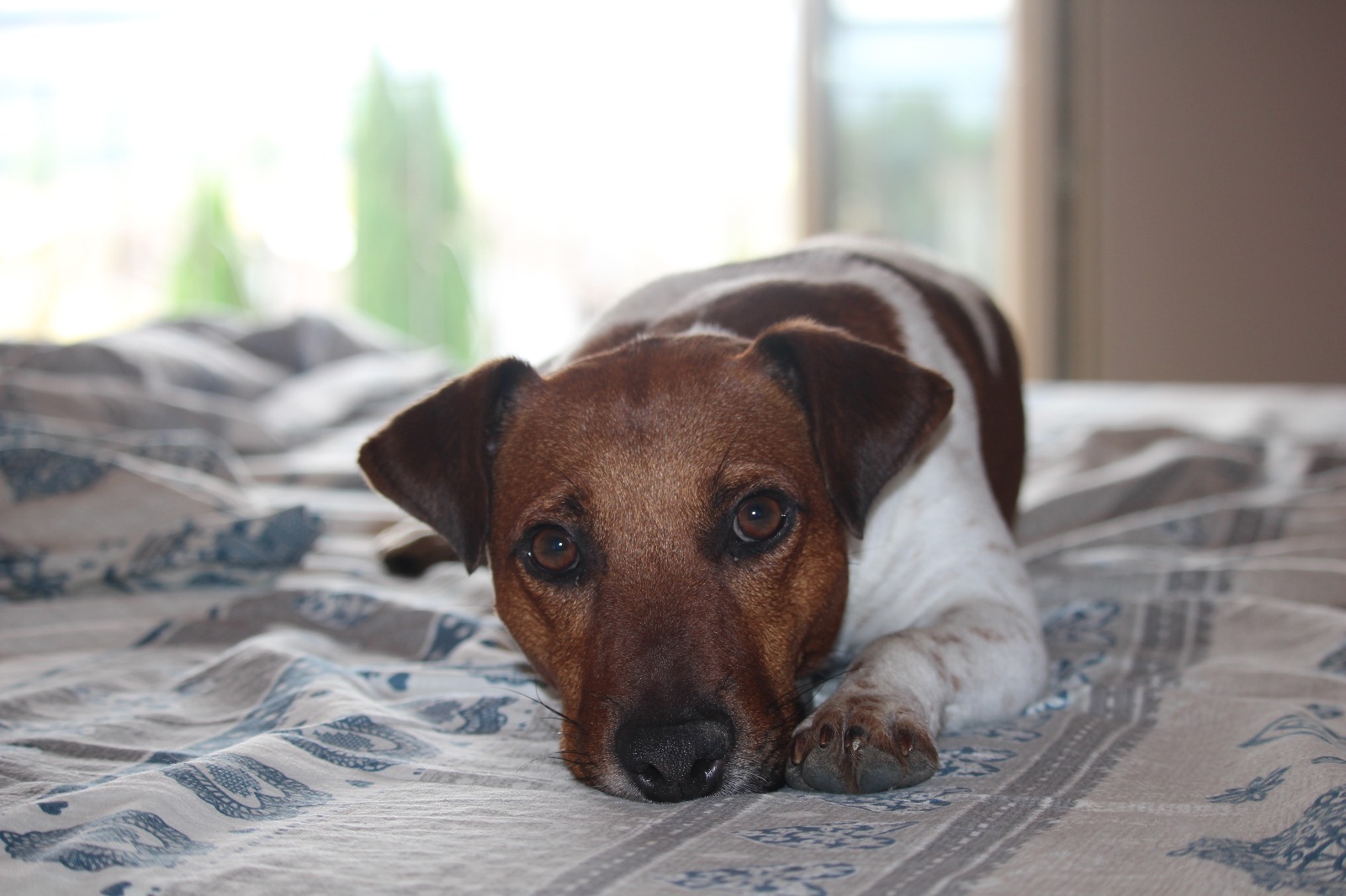 ancora un minuto e arrivo