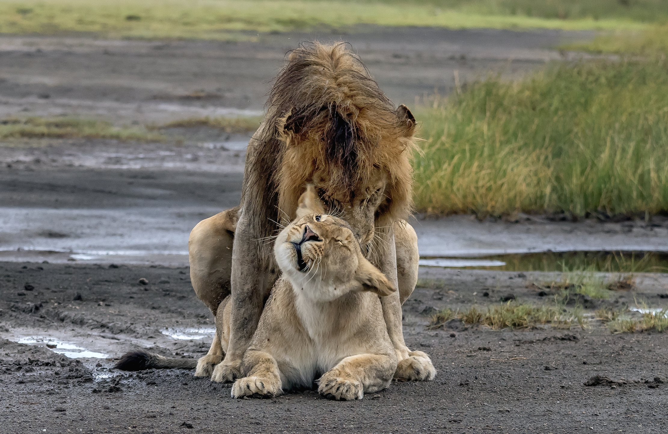 Tanzania 2016 - Goduria