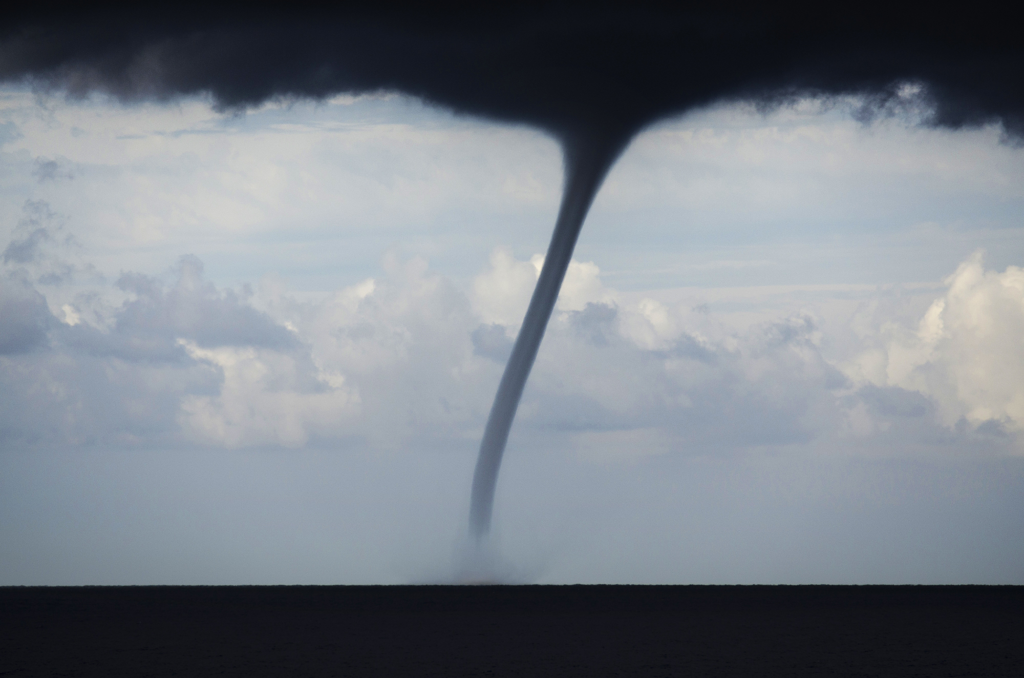 Trumpet of August marina