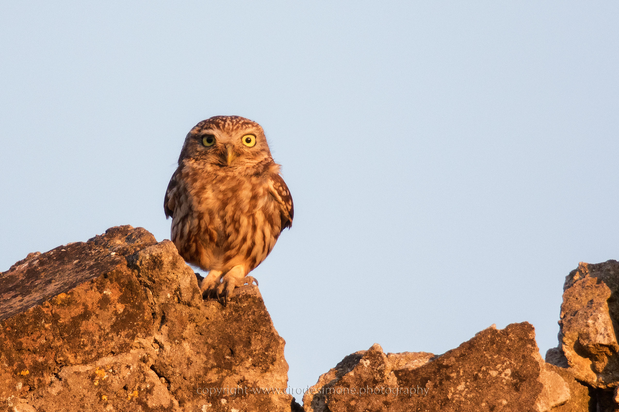 Ti beccherò da vicino