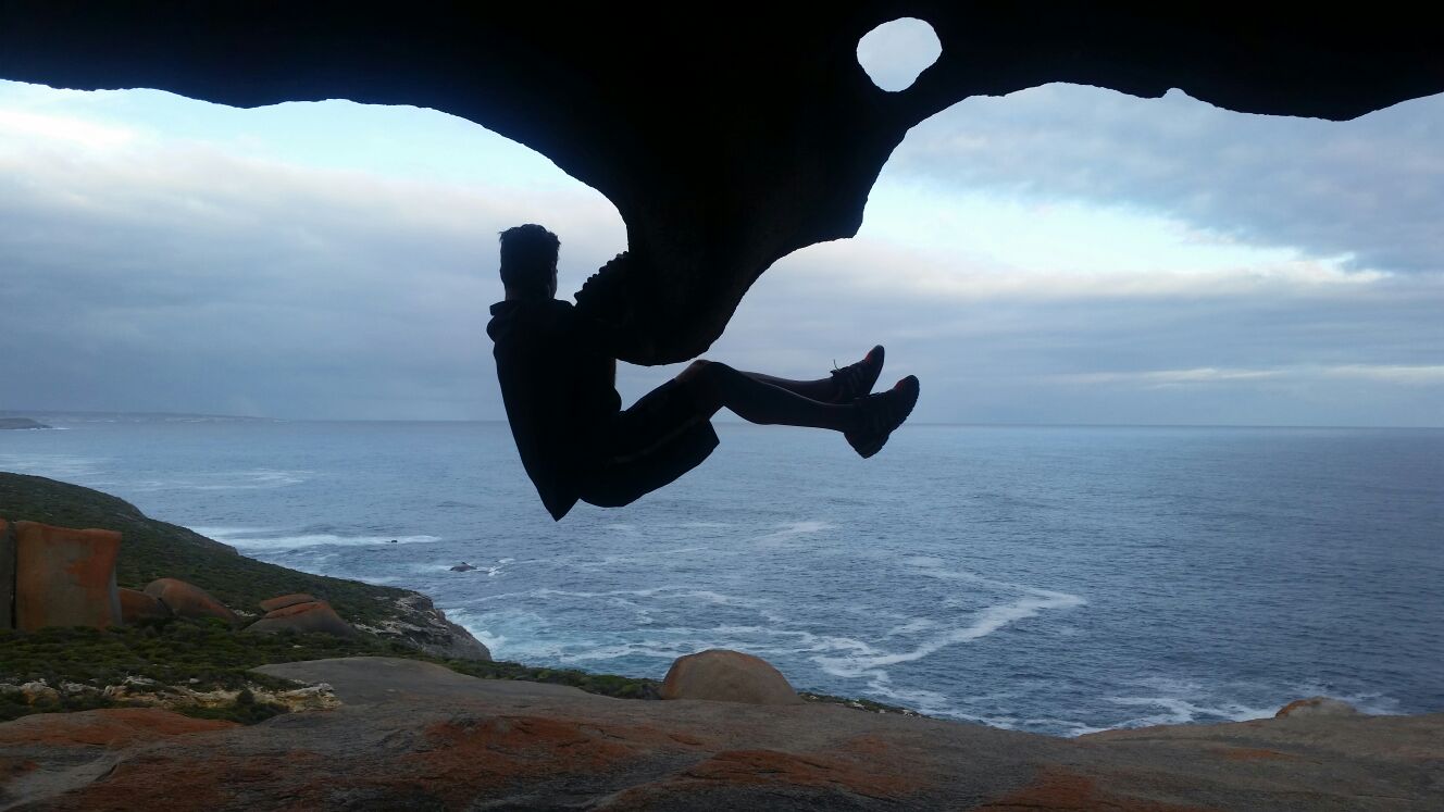 italian koala   Kangaroo Island