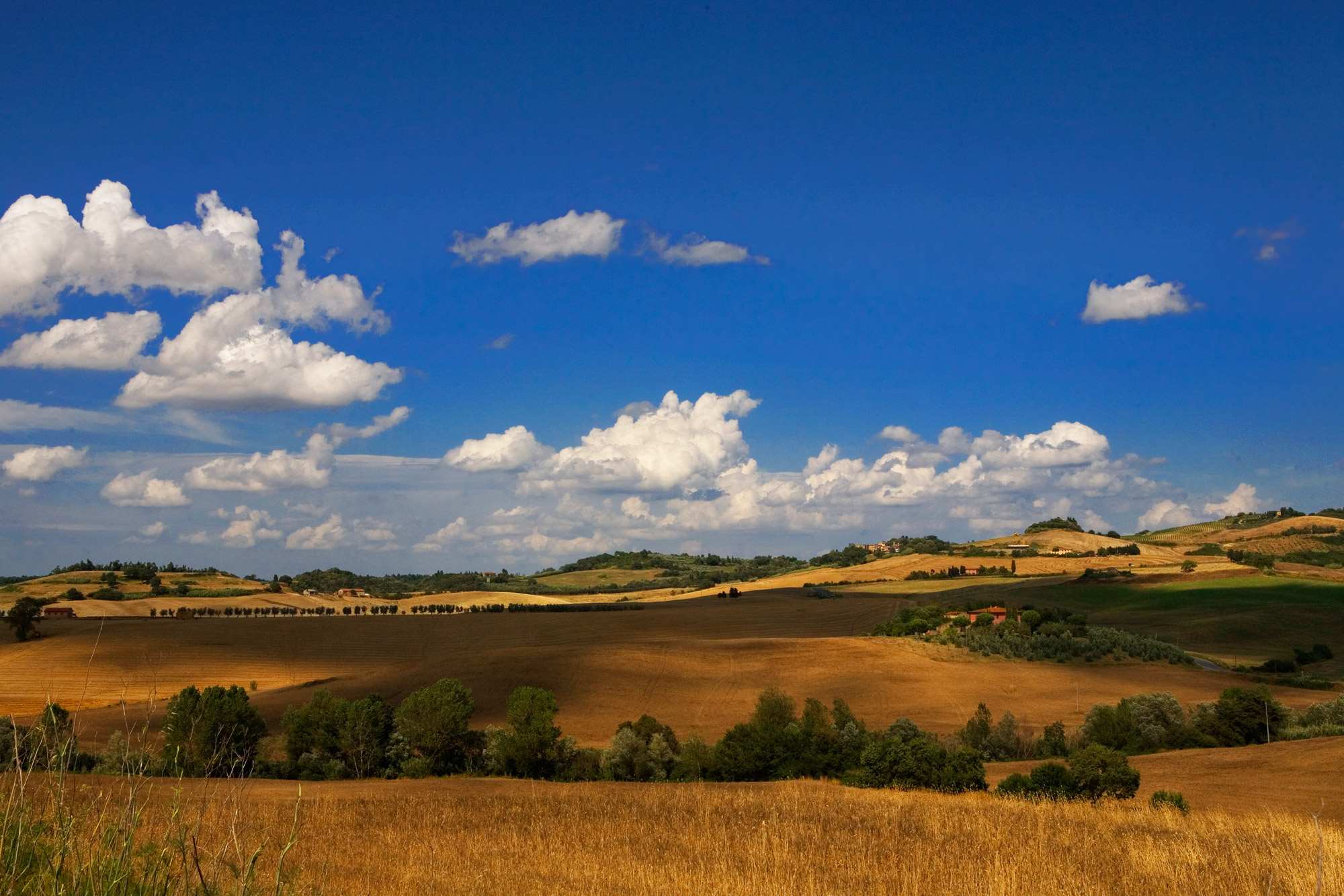 Tuscan countryside