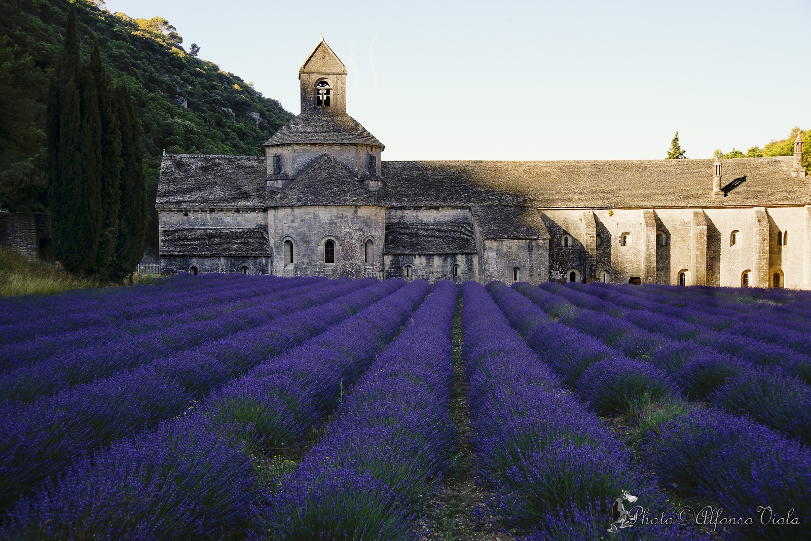 basilica into the sunset-2
