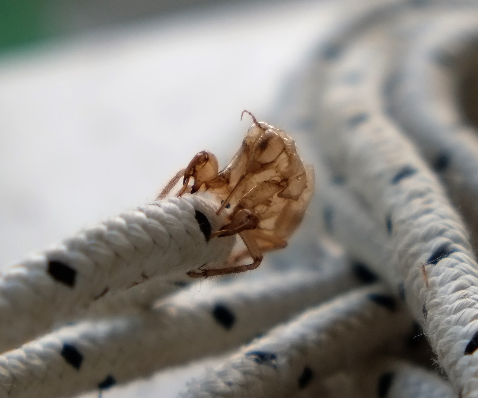 qualcuno ha scordato qualcosa