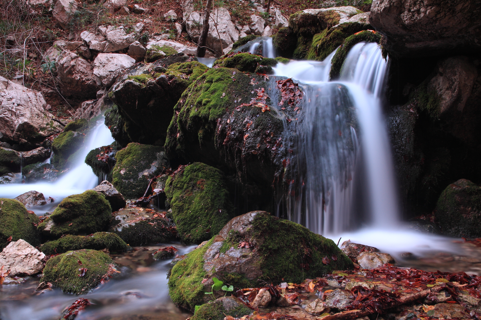 Ruscello in lunga esposizione (2)