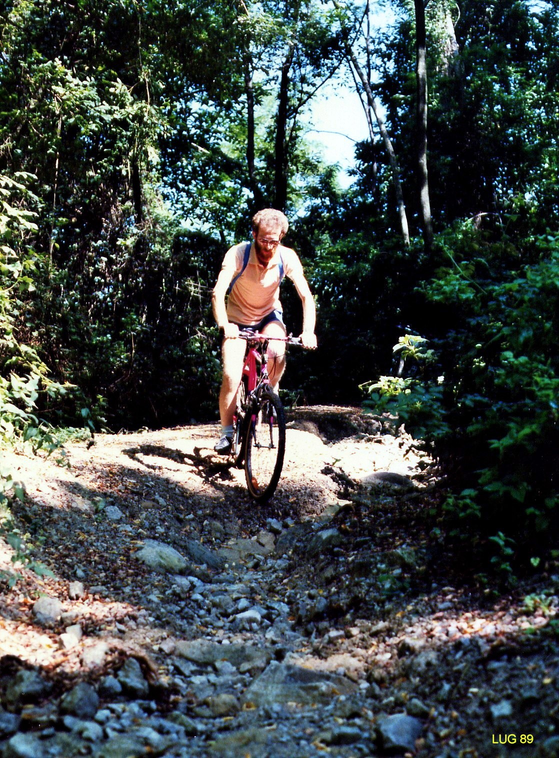 Scendendo da Montevecchia