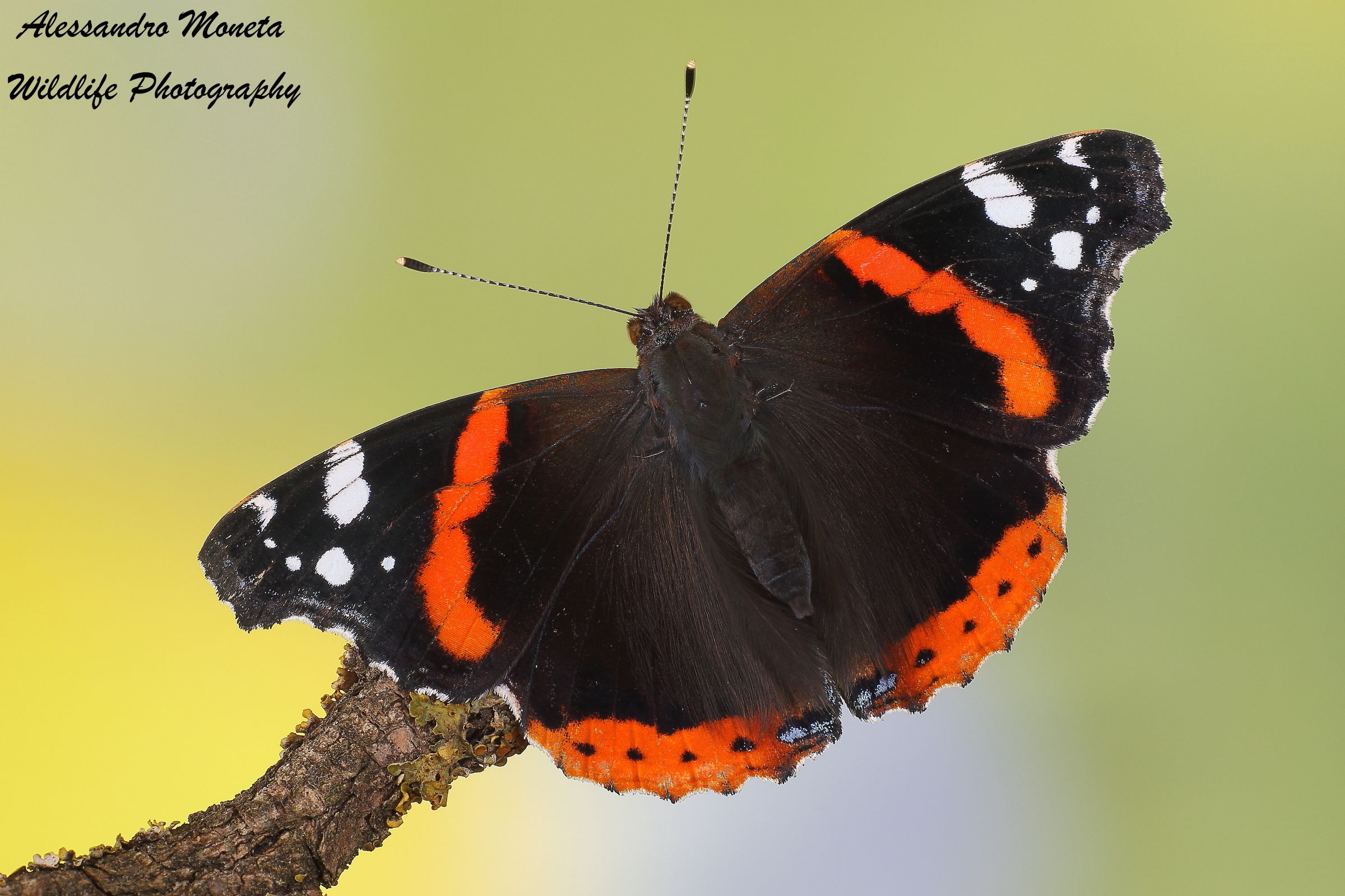 And now I'm off Bye Bye