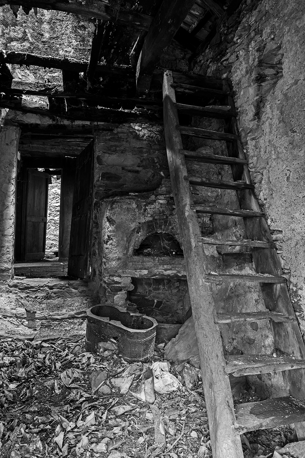 The scale, the oven and the stove