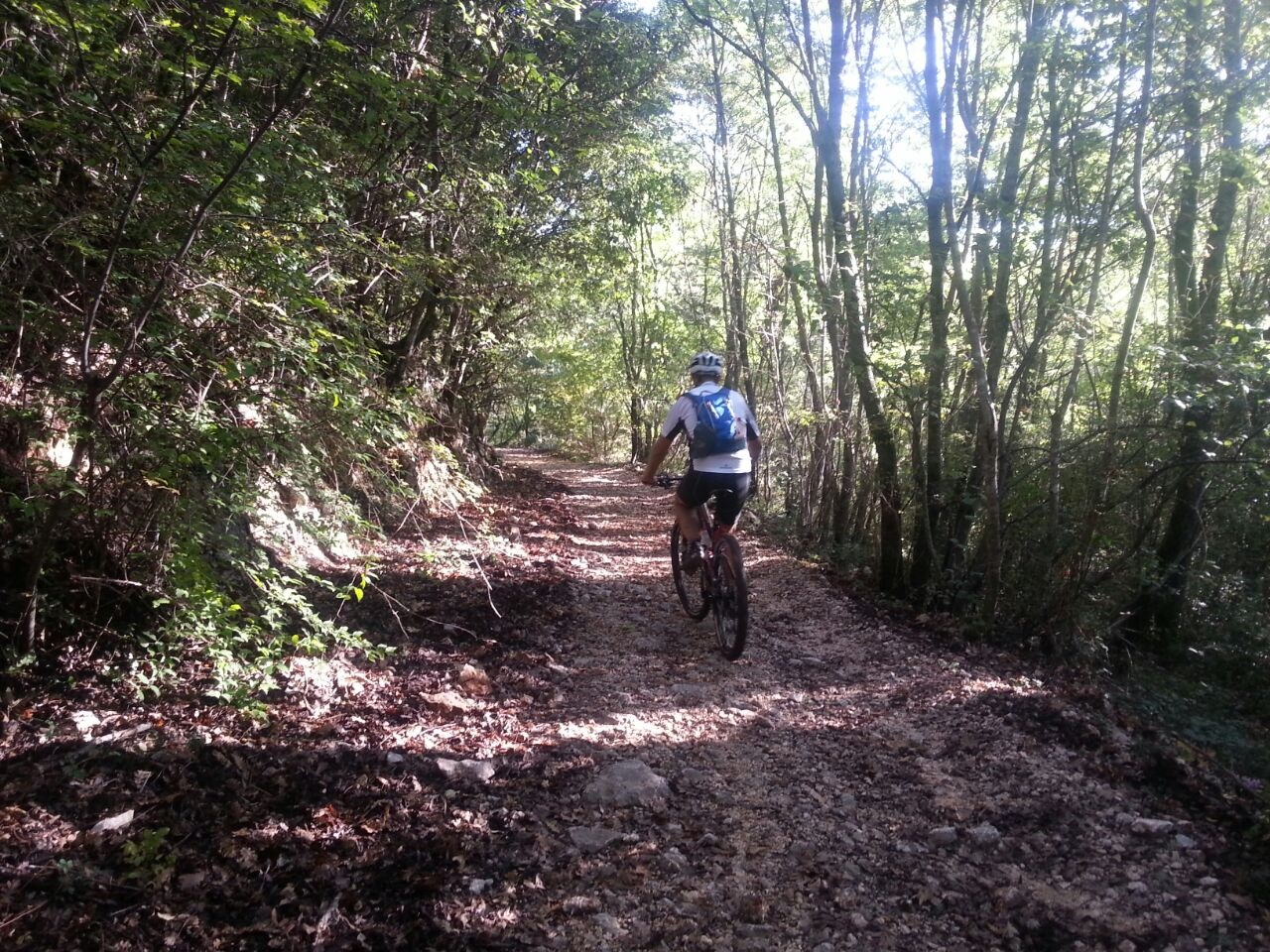 Solo il fruscio delle foglie sotto le ruote...