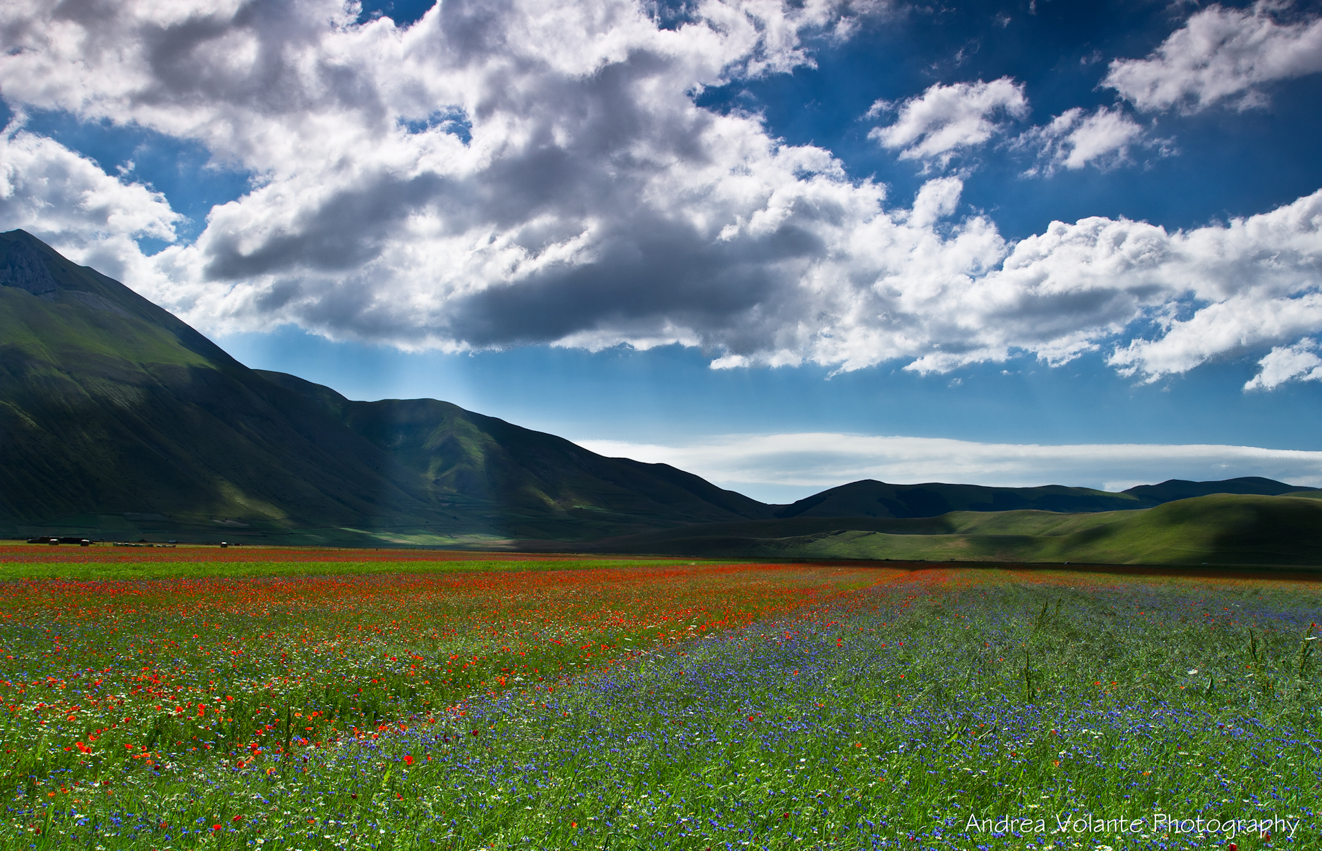 ..un piccolo eden in terra d'Umbria!