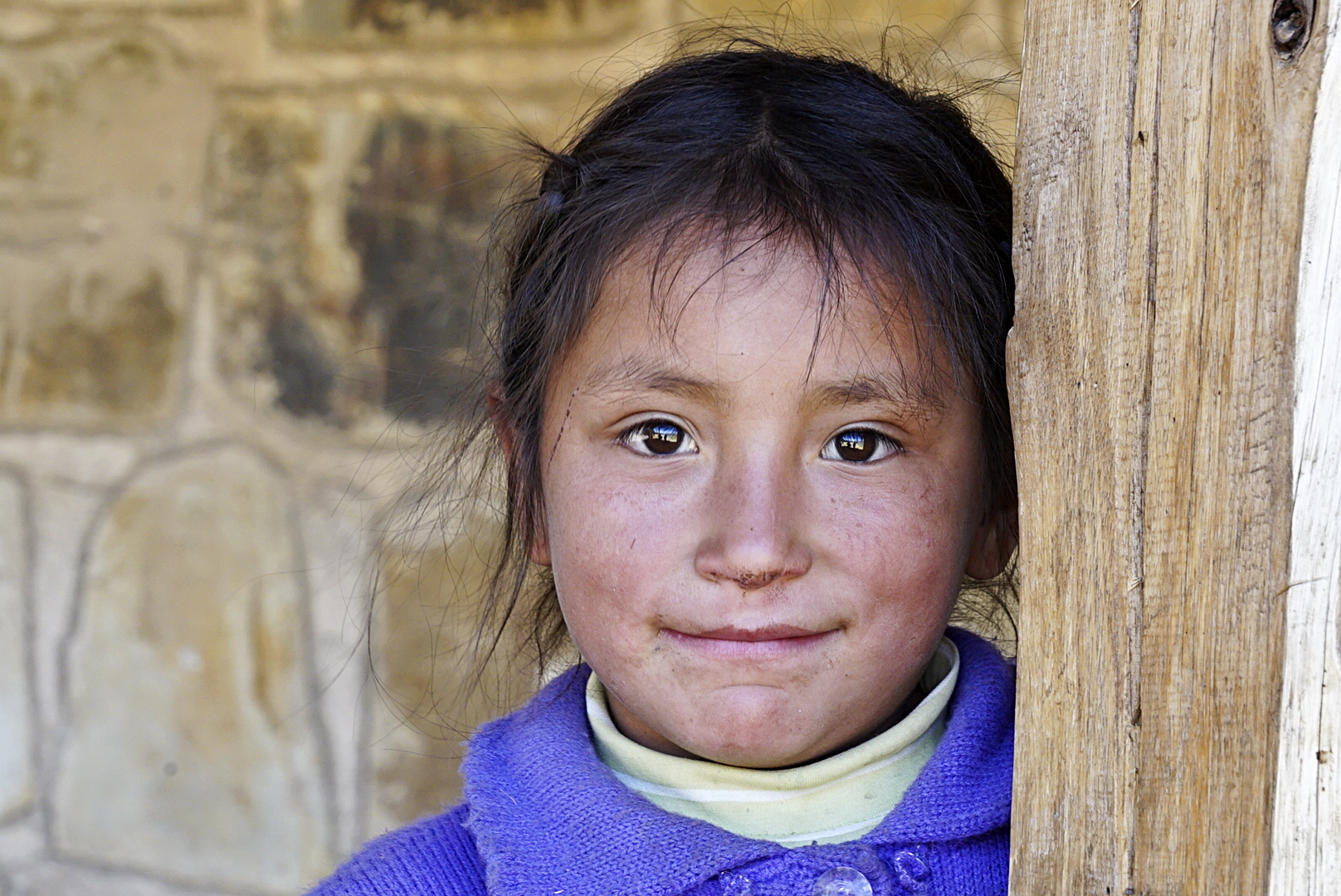 Negli occhi la cordillera