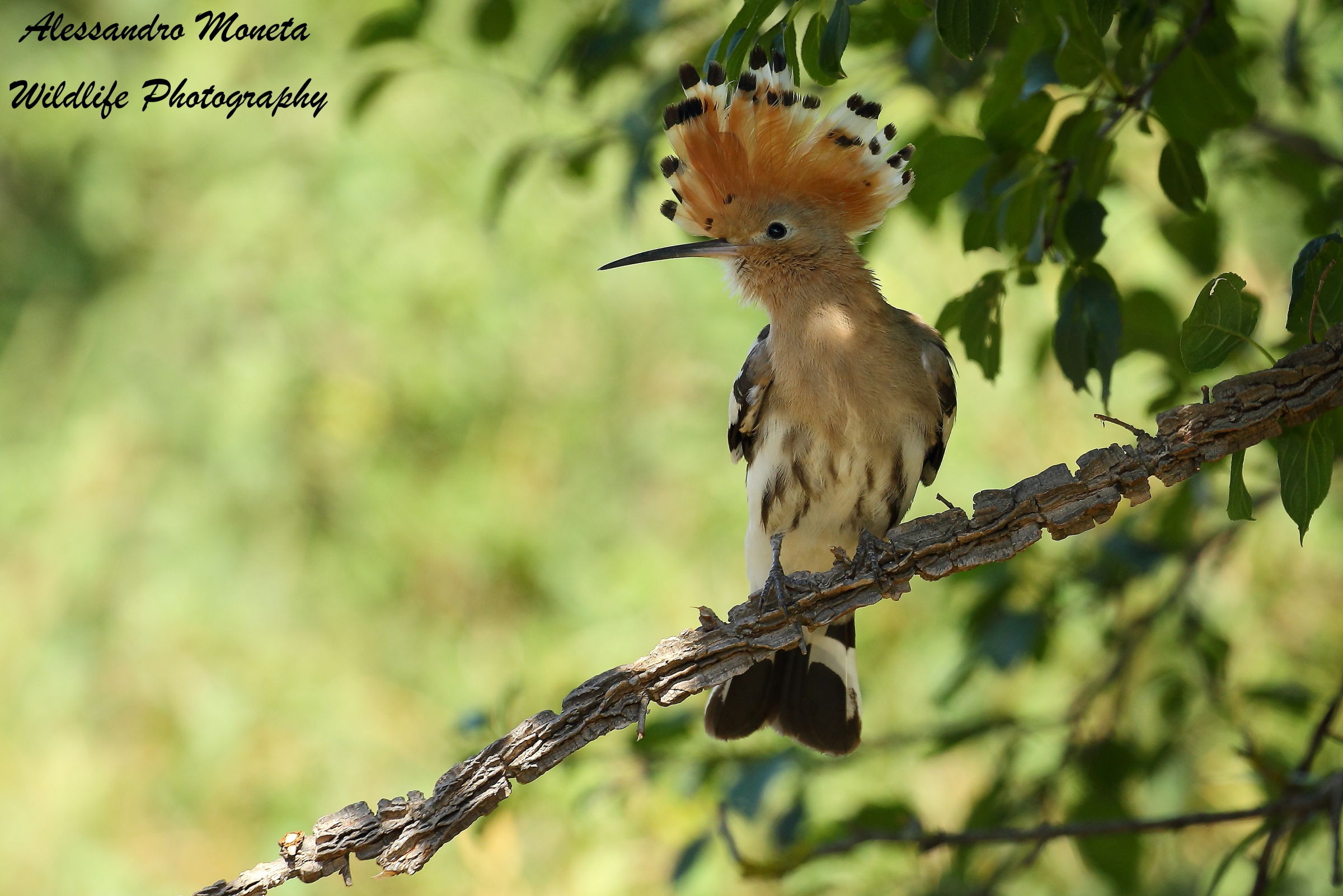 Un po' di riposo all'ombra