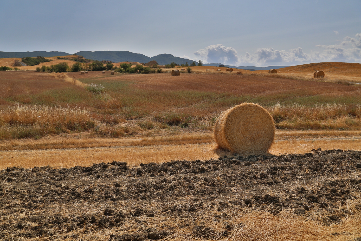 Tuscany in summer