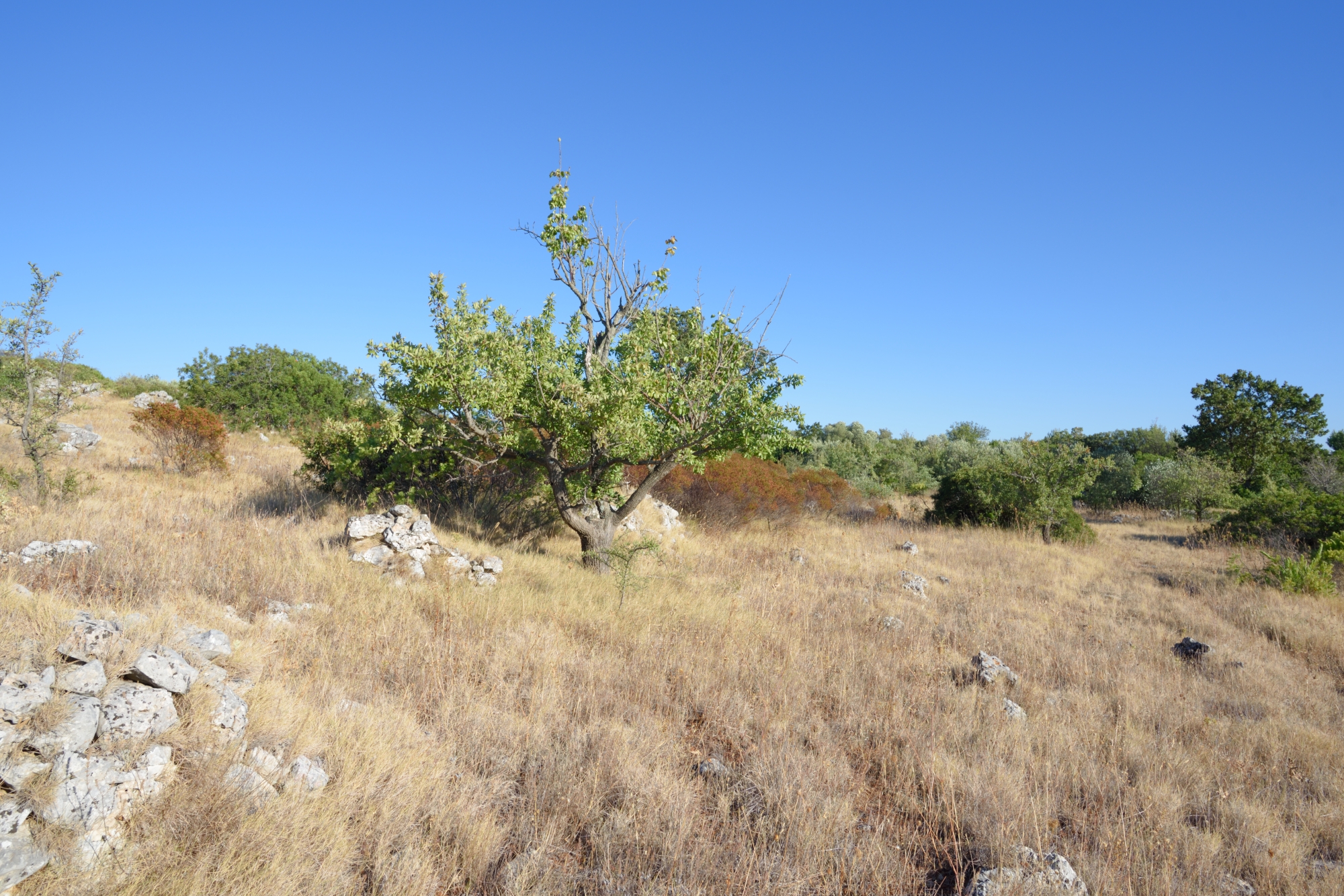 out of human barbarity