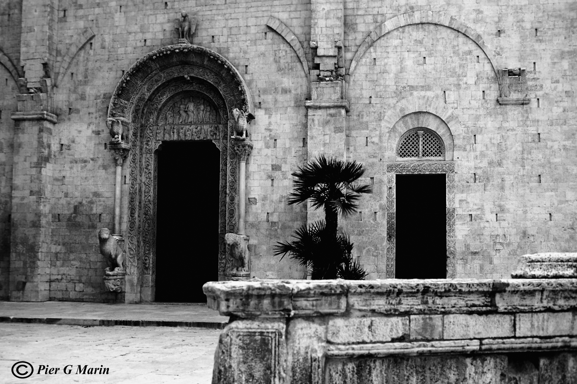 Cattedrale di Bitonto-a. Puglia (sec. xii)