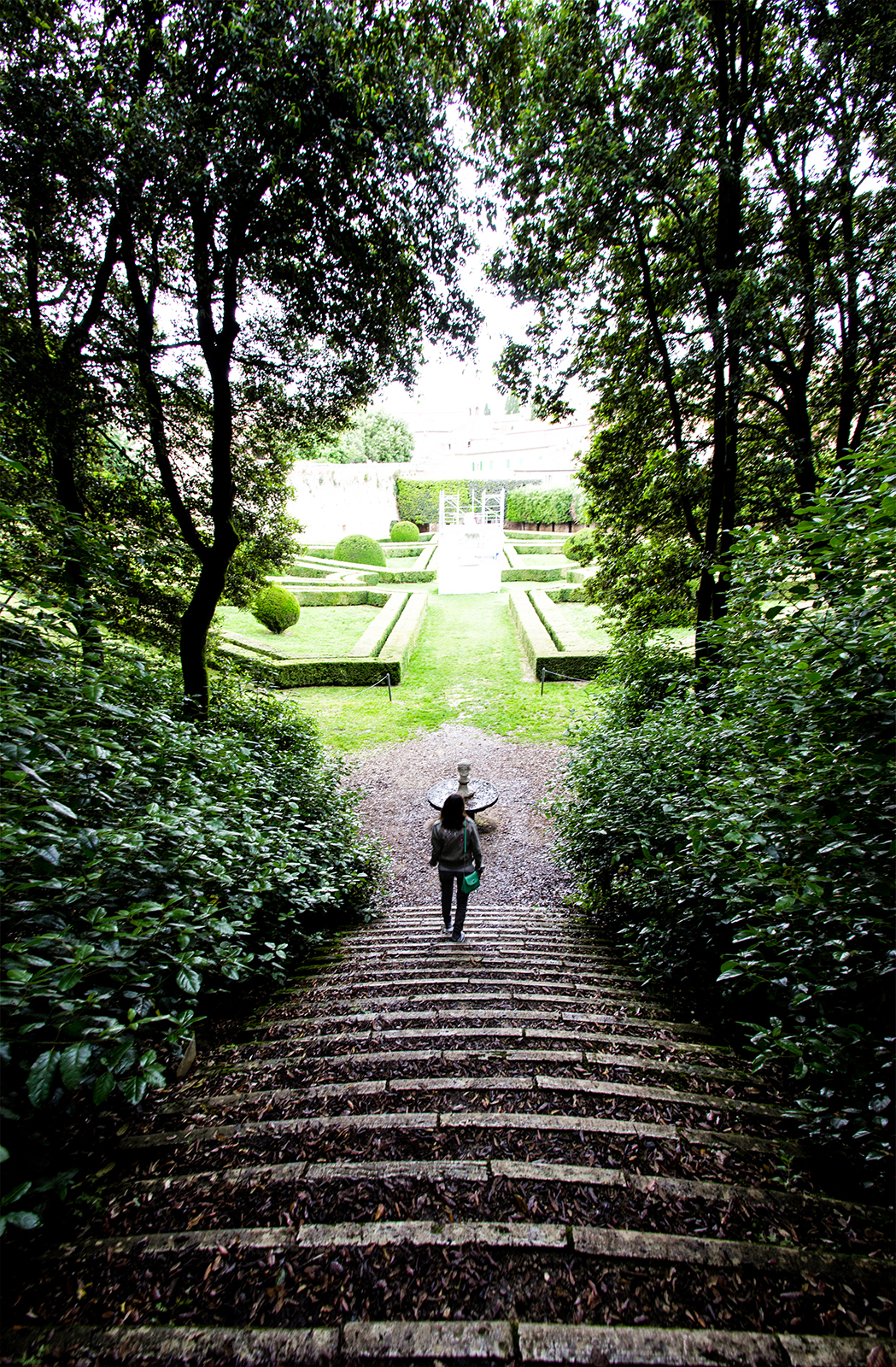 Alice in the Wonderland