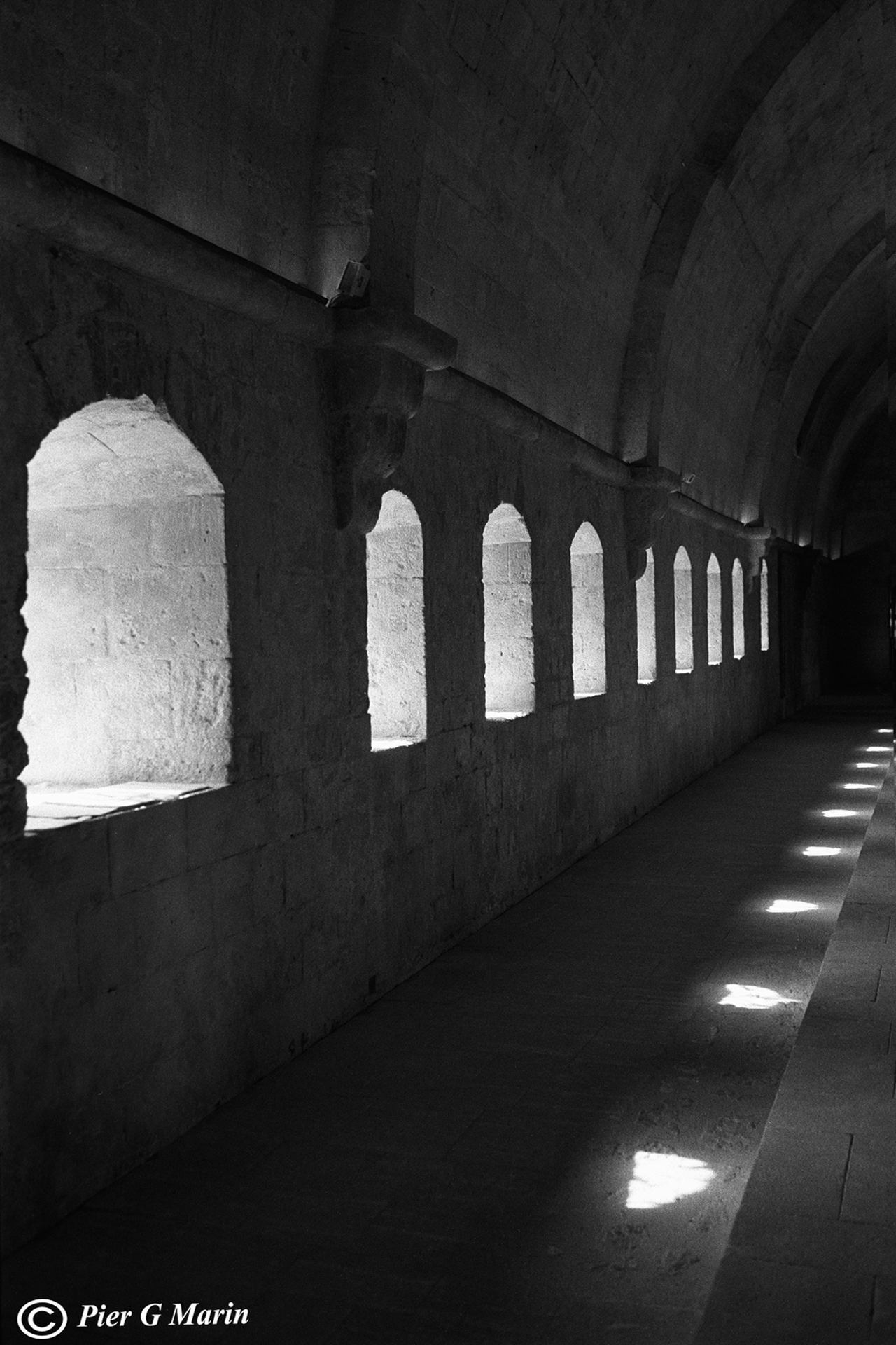 Abbaye de Silvacane-b, Provence (sec xiii)