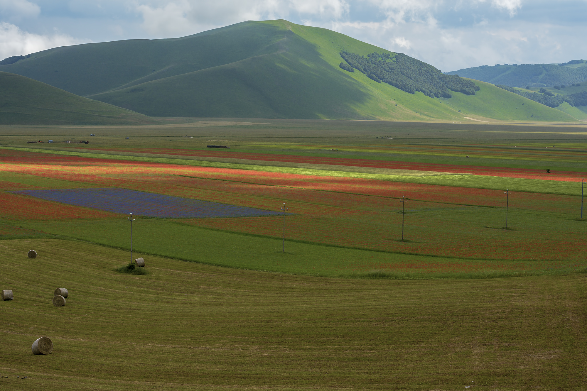 La Fiorita of Piangrande