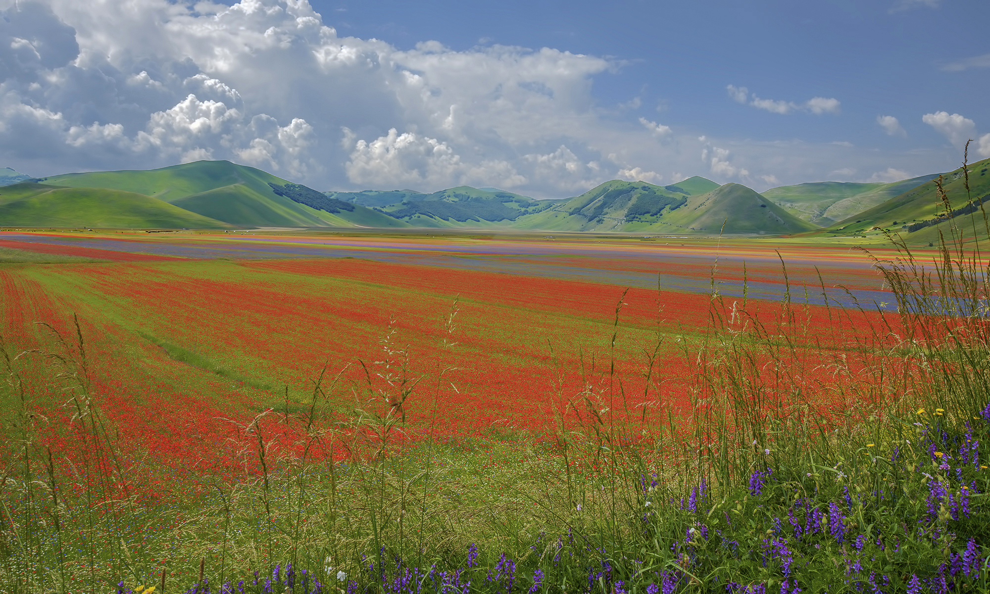 La Fiorita of Piangrande