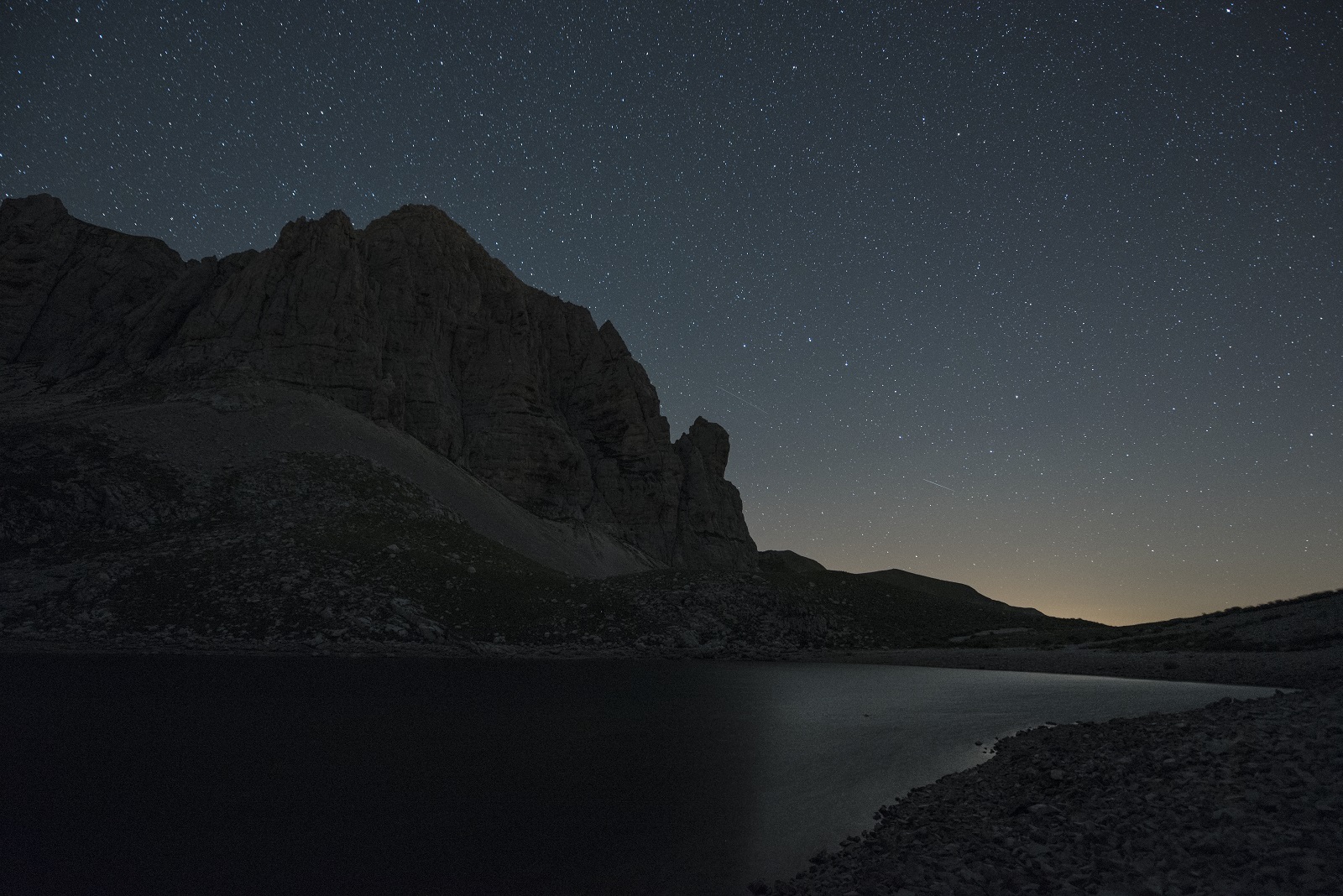 Lace devil, large gendarme